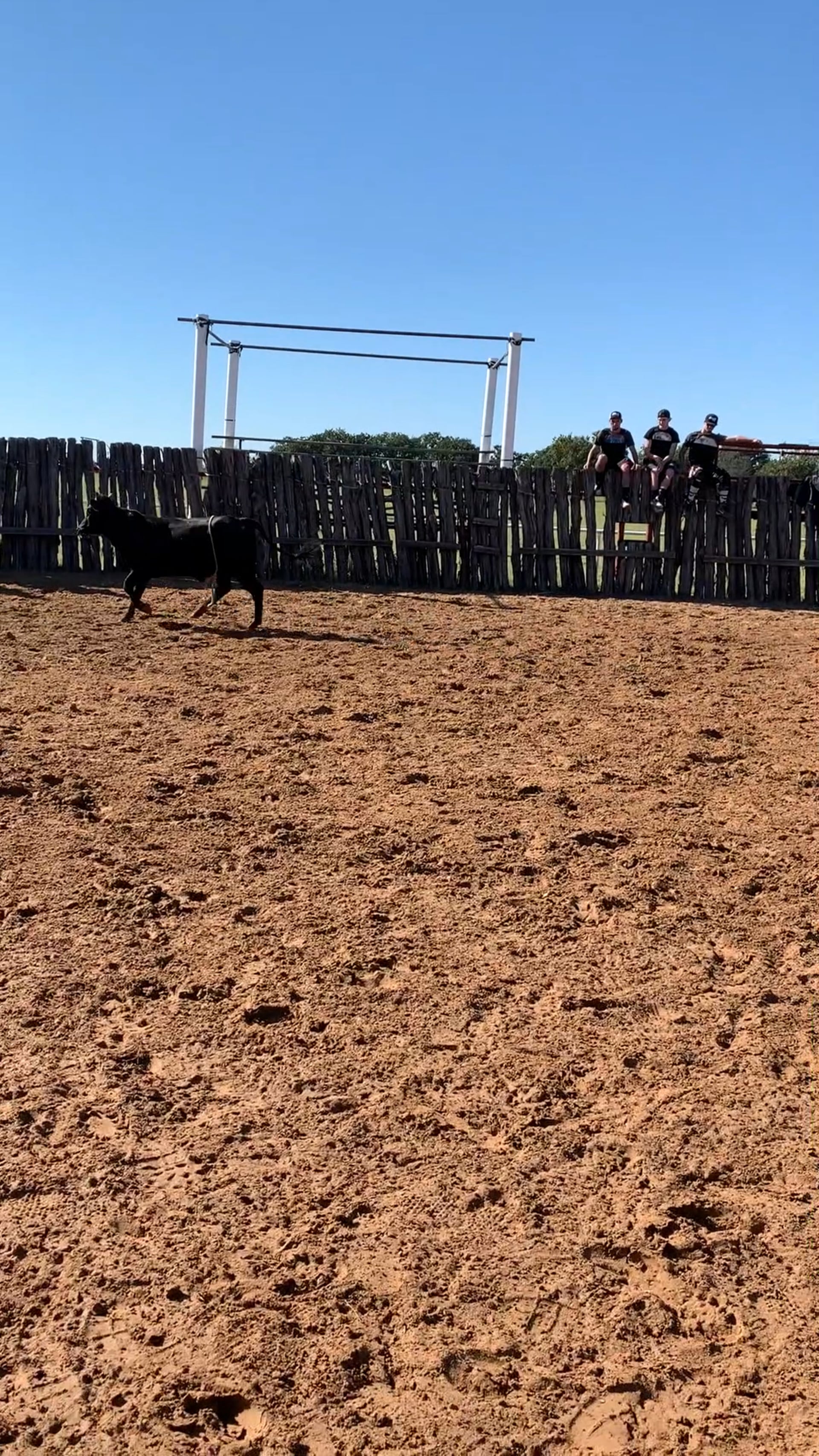 Decatur D-Camp Day 2