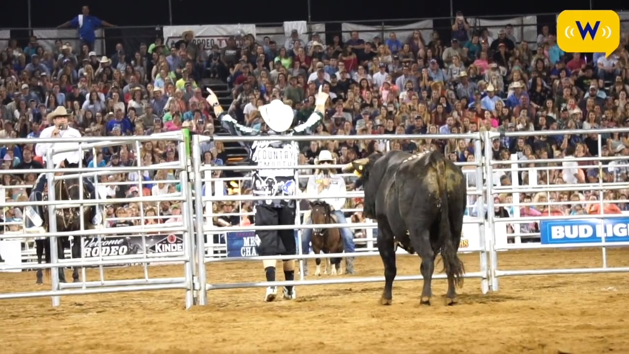 BFO Summer Update presented by Wrangler Network