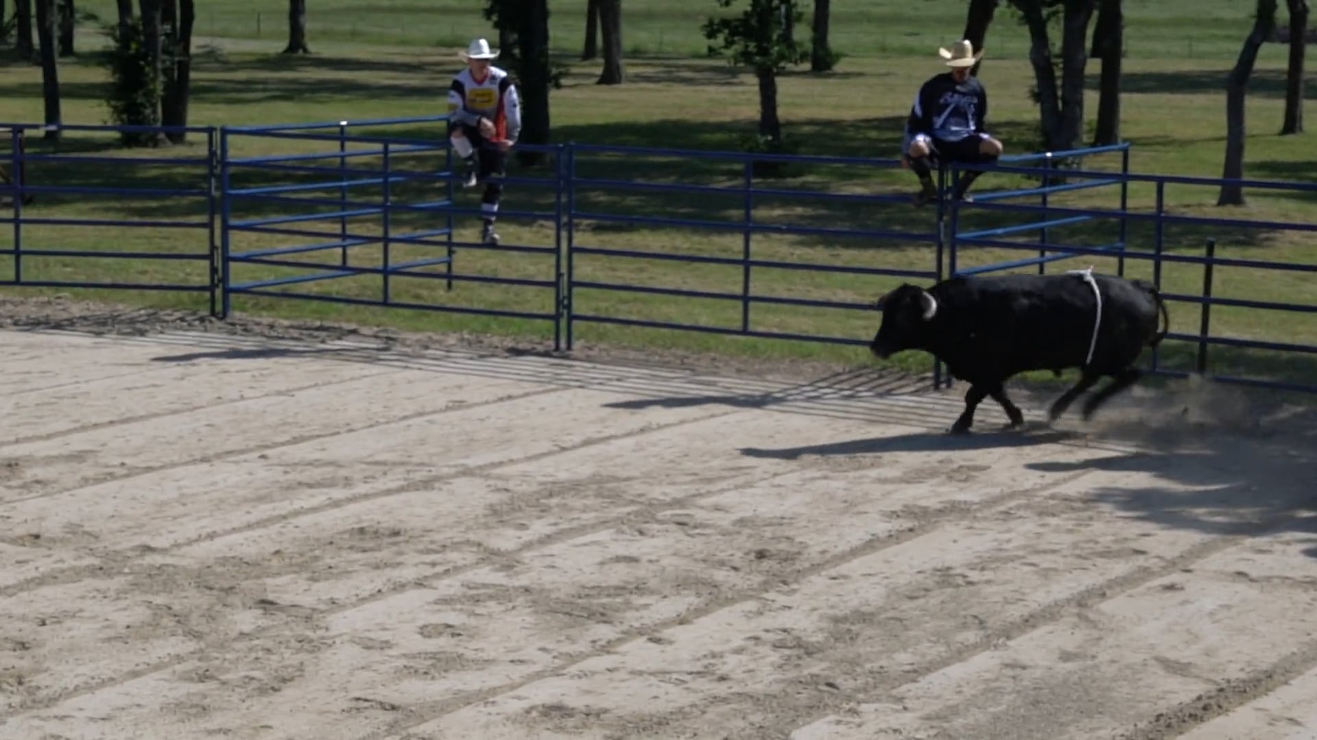 BFO Session II by HooeyTV - Jam #1