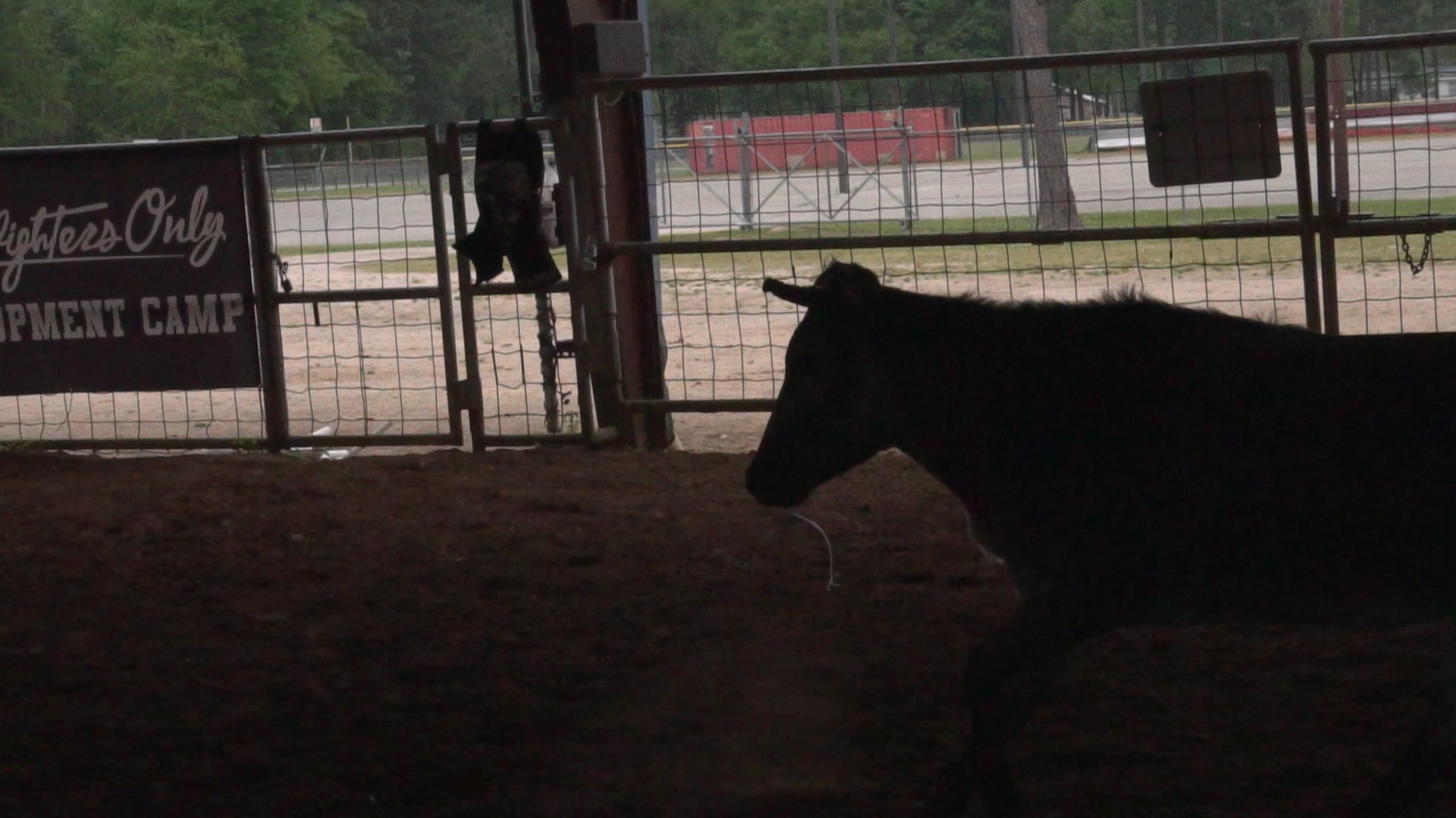 New Caney Tx D Camp 2019 - C0054