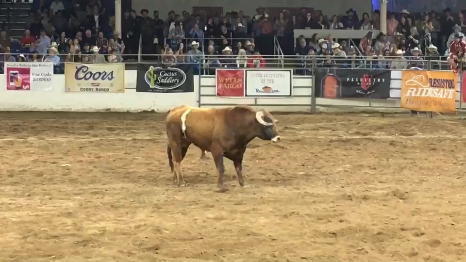 2018 BFO Scottsdale - Noah Krepps