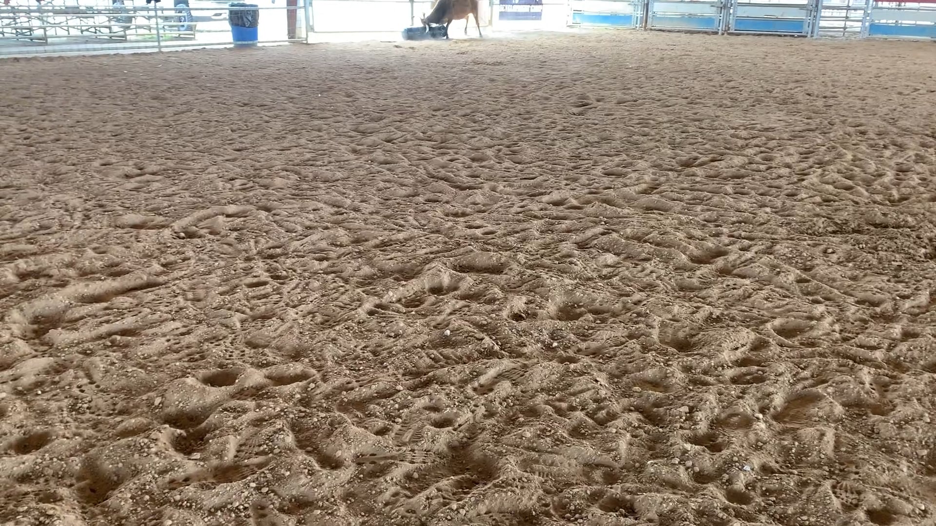 New Caney Tx D Camp 2019 - IMG_0390