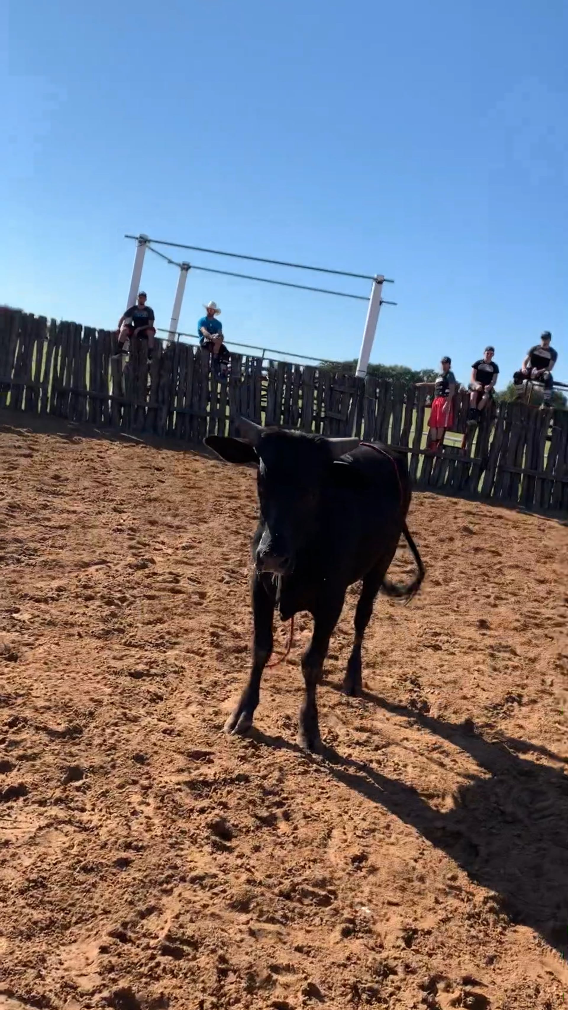 Decatur D-Camp Day 2