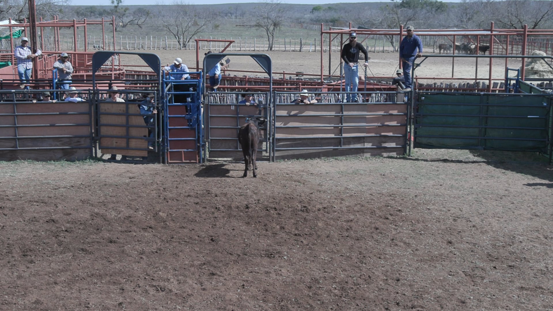 Uvalde D Camp Day 2 2020