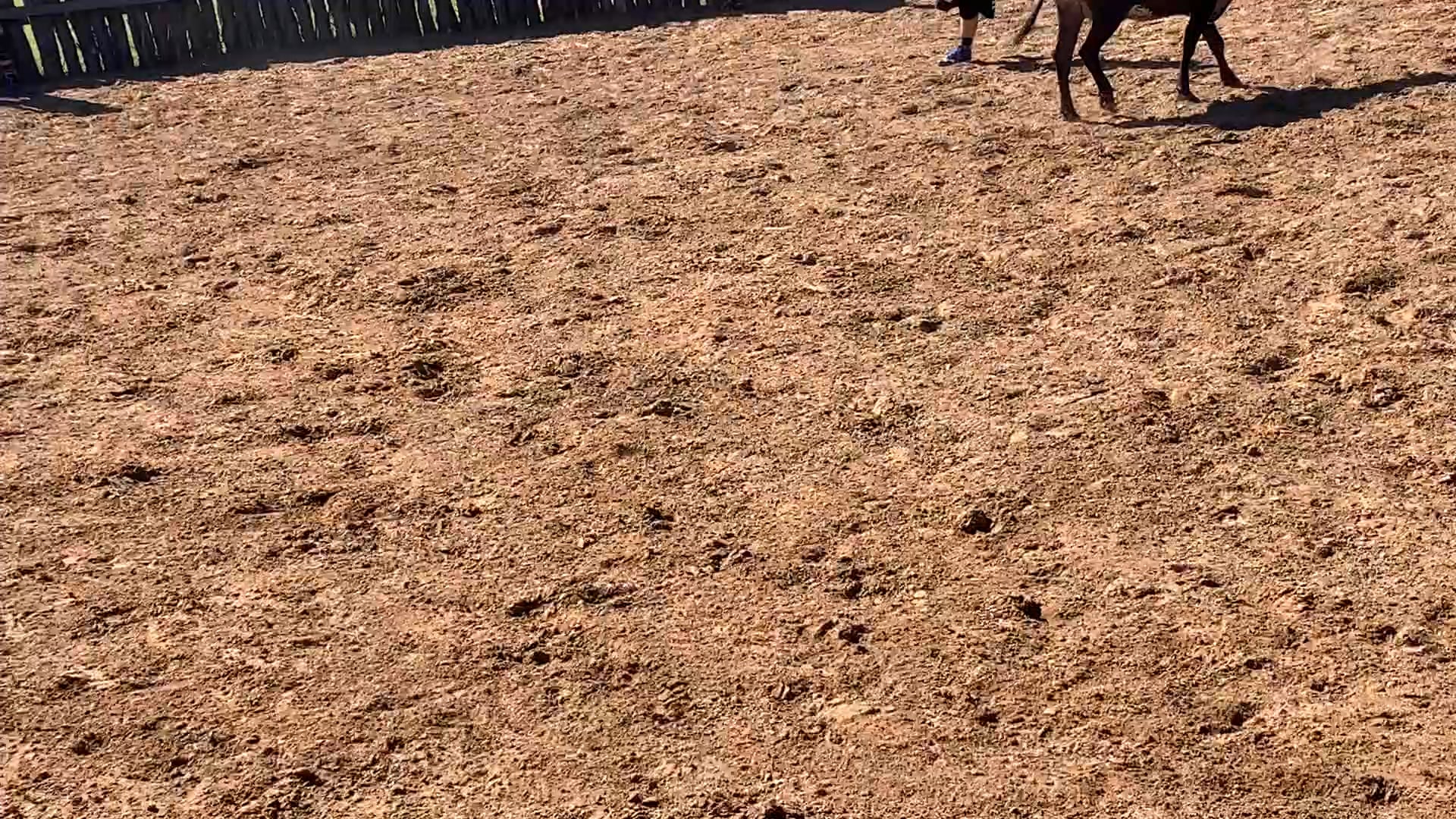 Decatur D-Camp Day 2