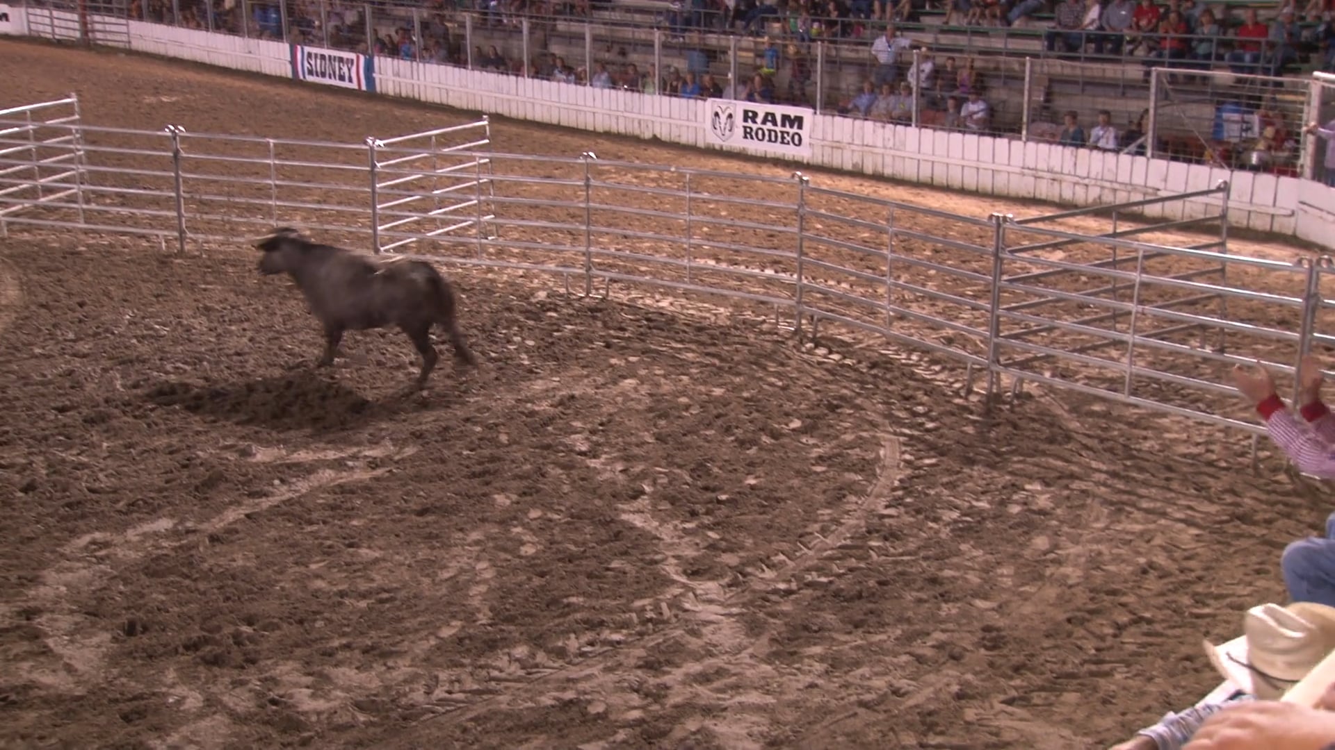 2017 BFO Sidney, IA - Round 1