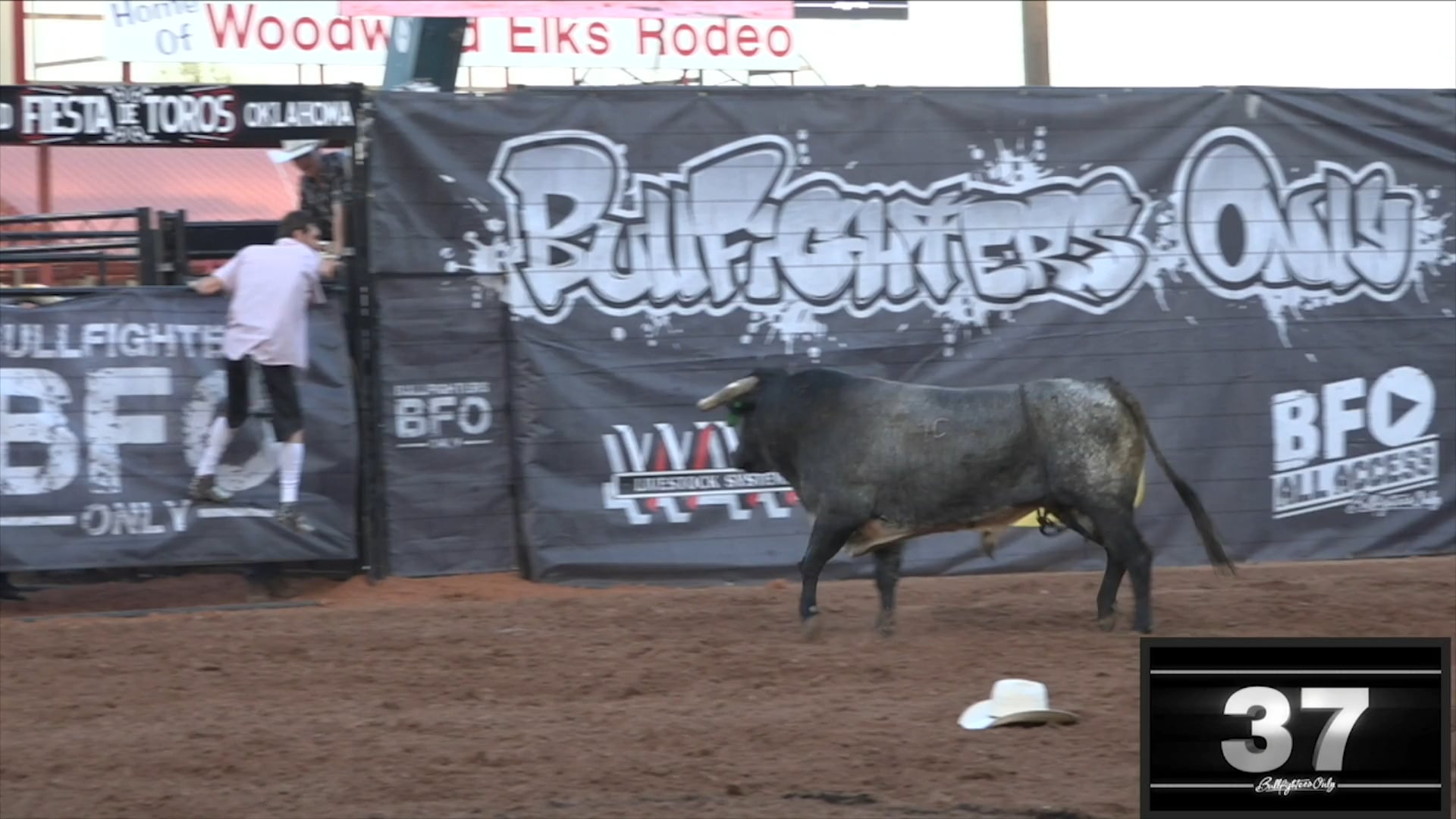 2018 BFO Fiesta de Toros - Jimmy Essary