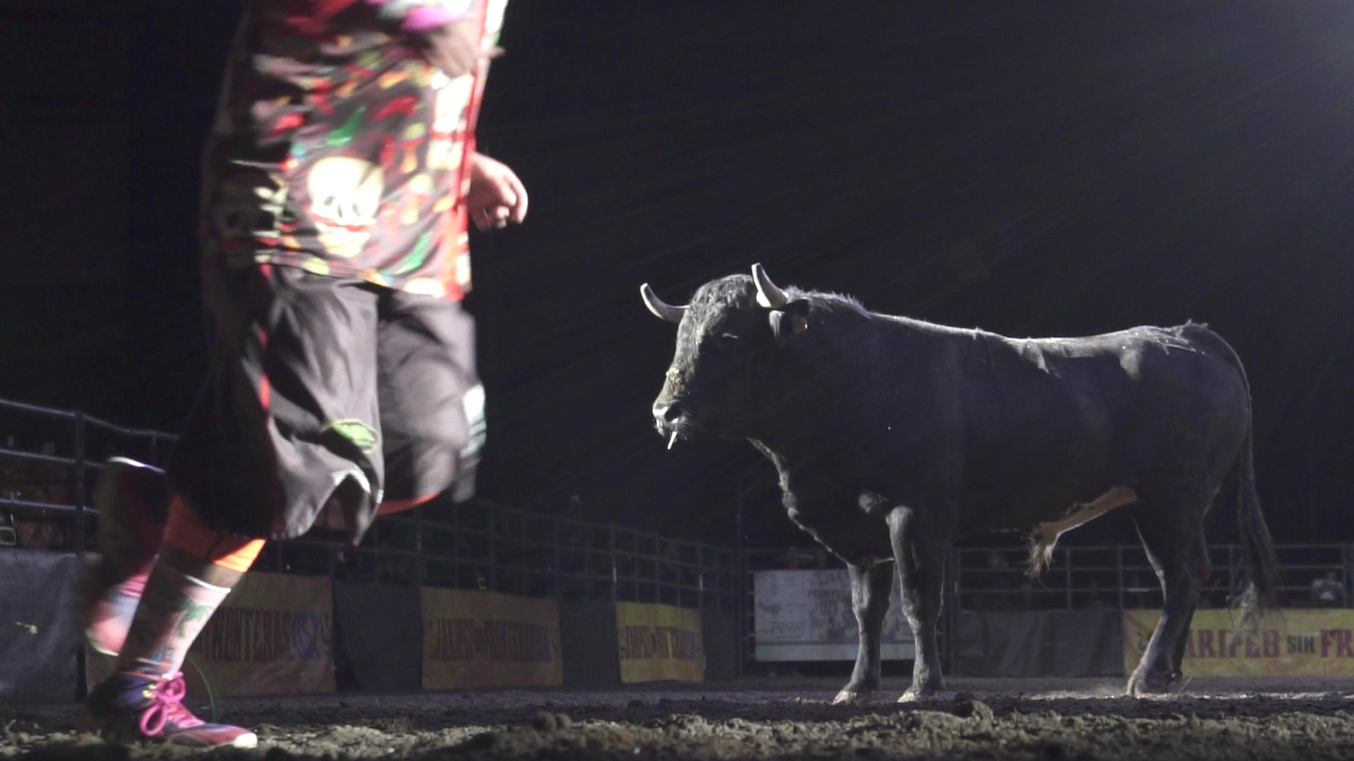 2019 Tacoma BFO  - Andres Gonzalez