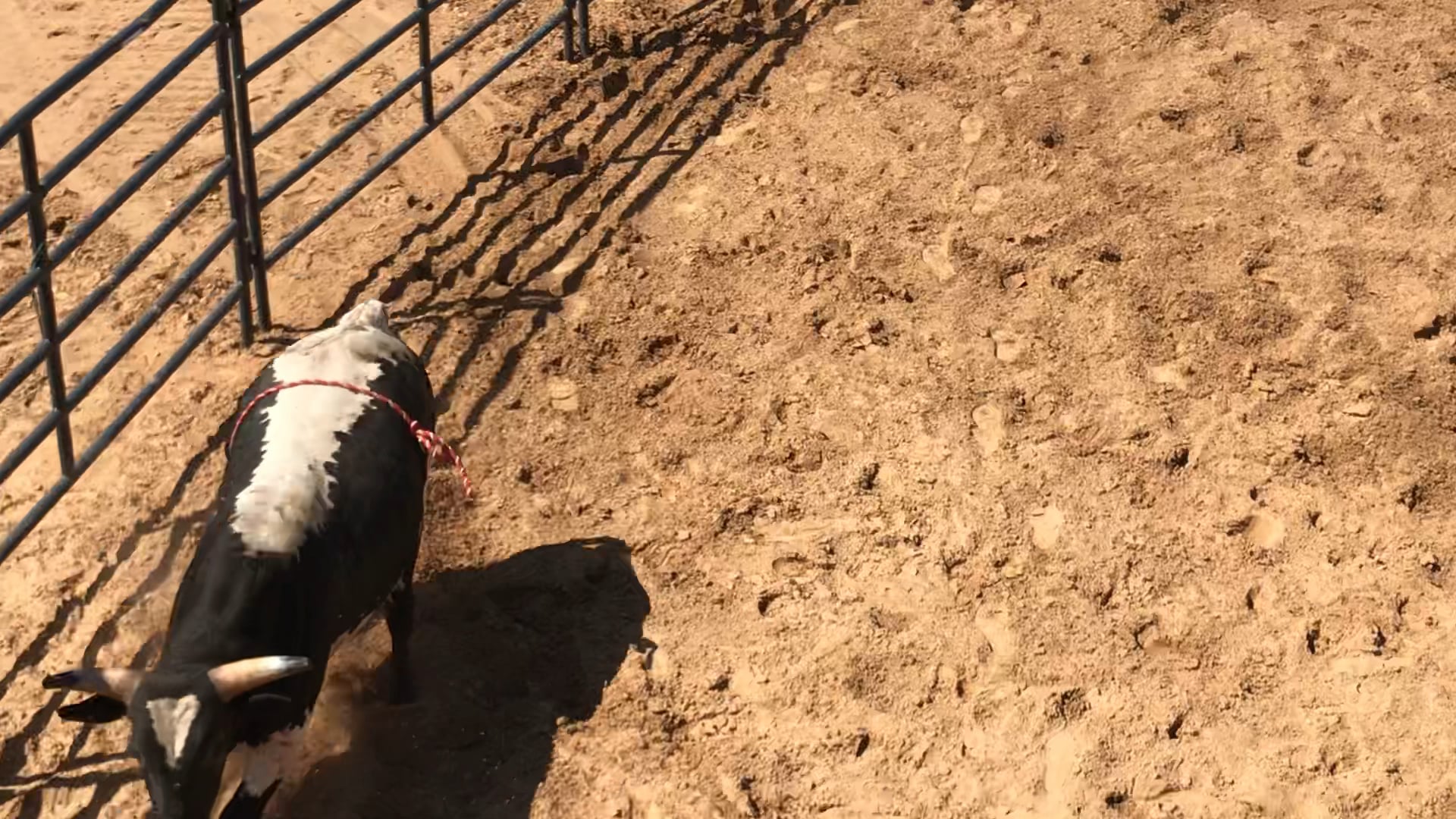 Super Camp 2018 - Day 1