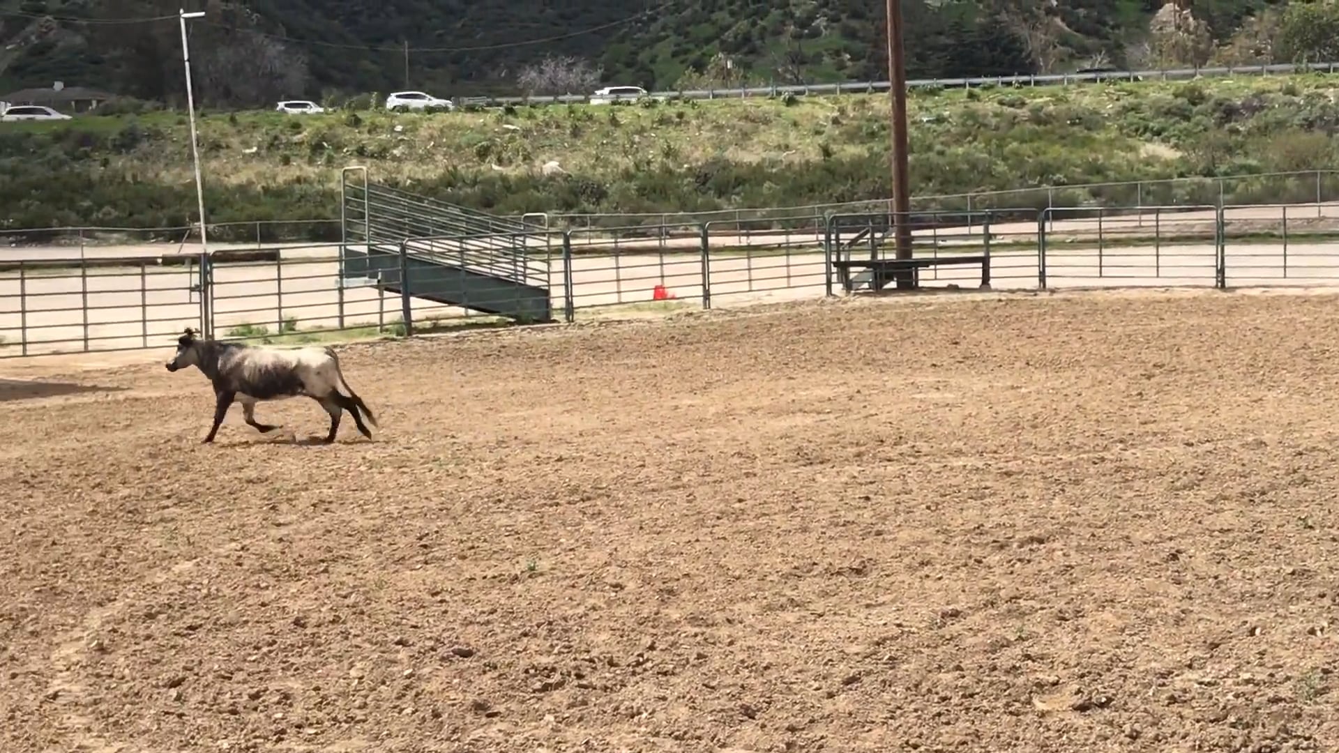 San Bernardino D Camp 2018 - IMG_3905