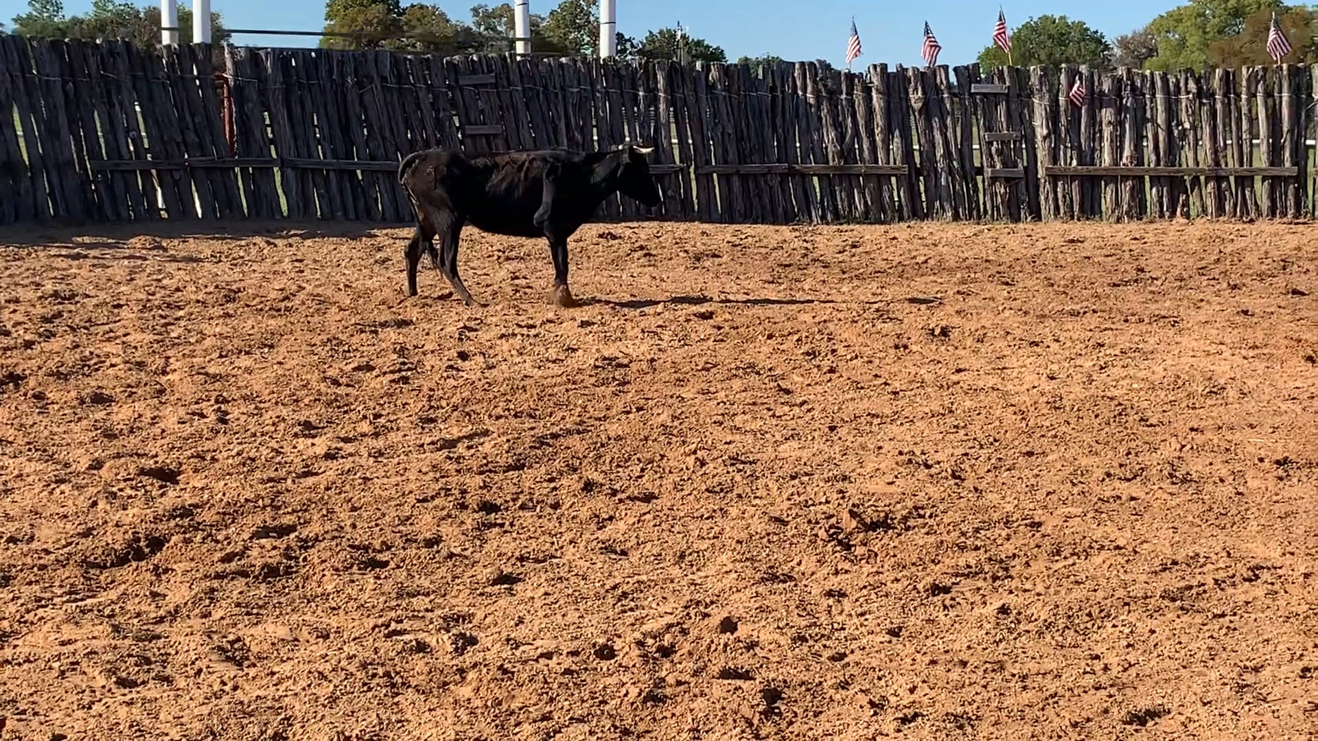 Decatur D-Camp Day 1