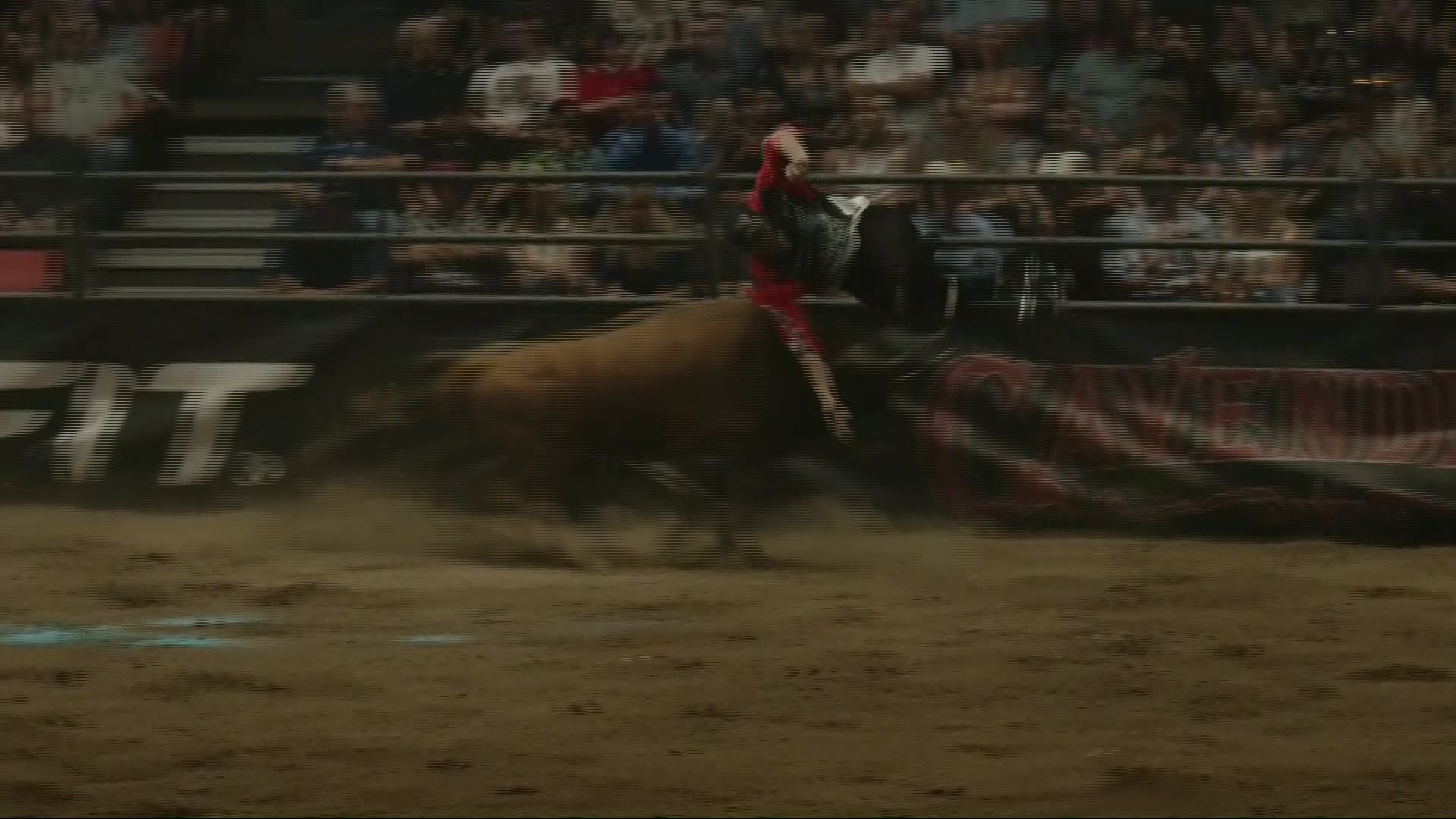 Bulls After Dark - Round 2