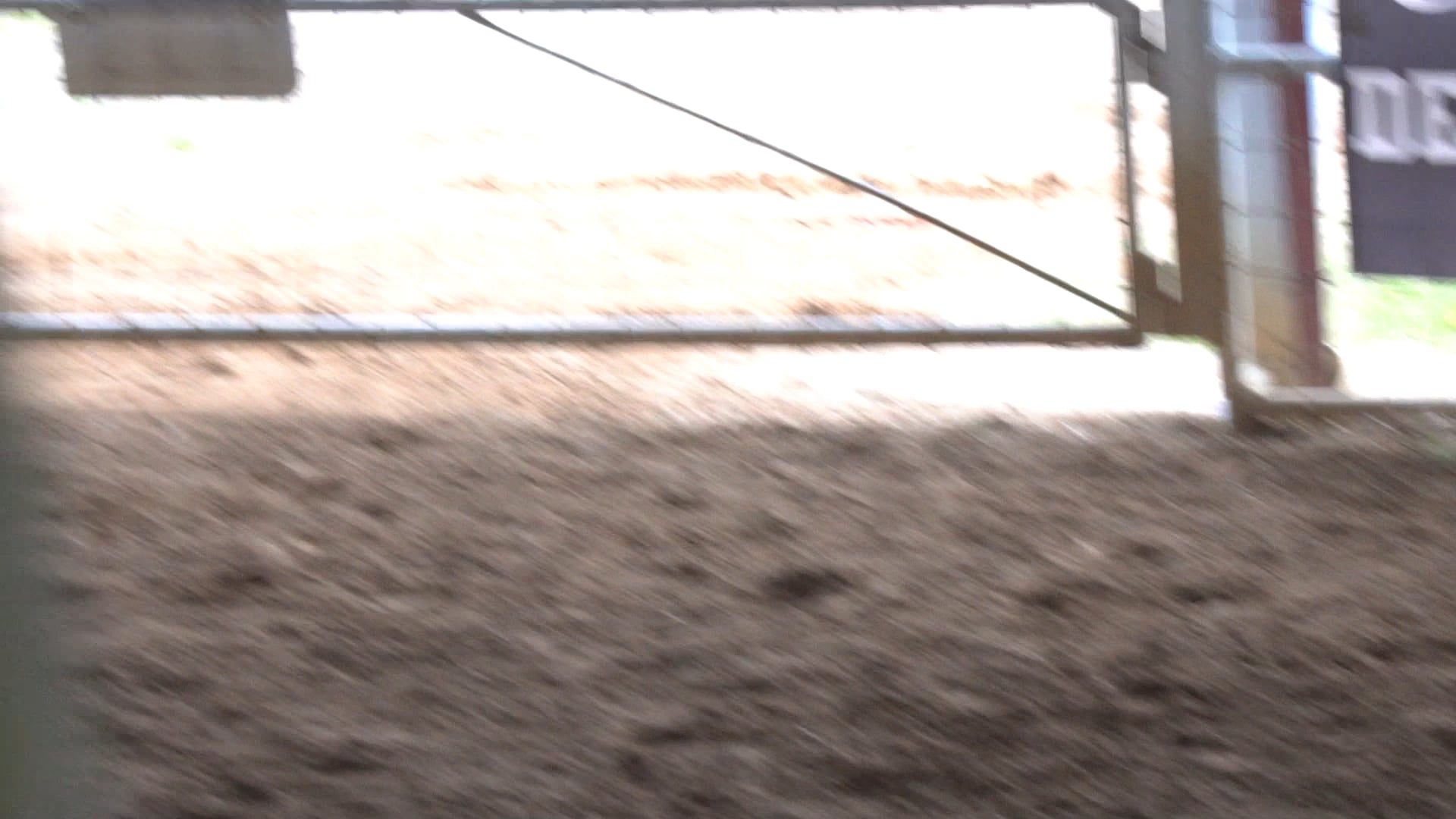 New Caney Tx D Camp 2019 - C0035