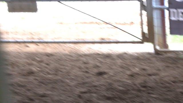 New Caney Tx D Camp 2019 - C0035