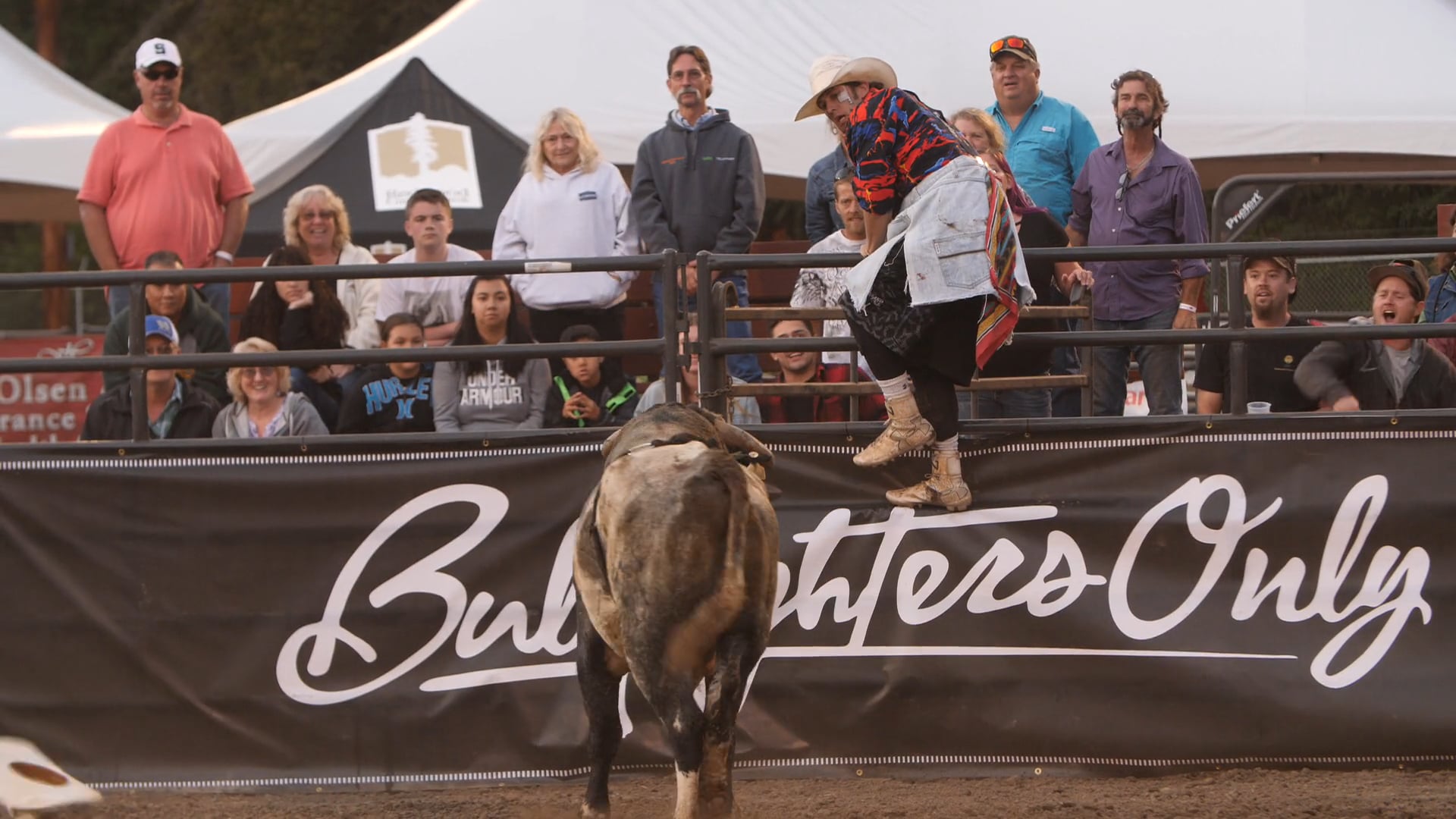 2018 BFO Fortuna - Beau Schueth