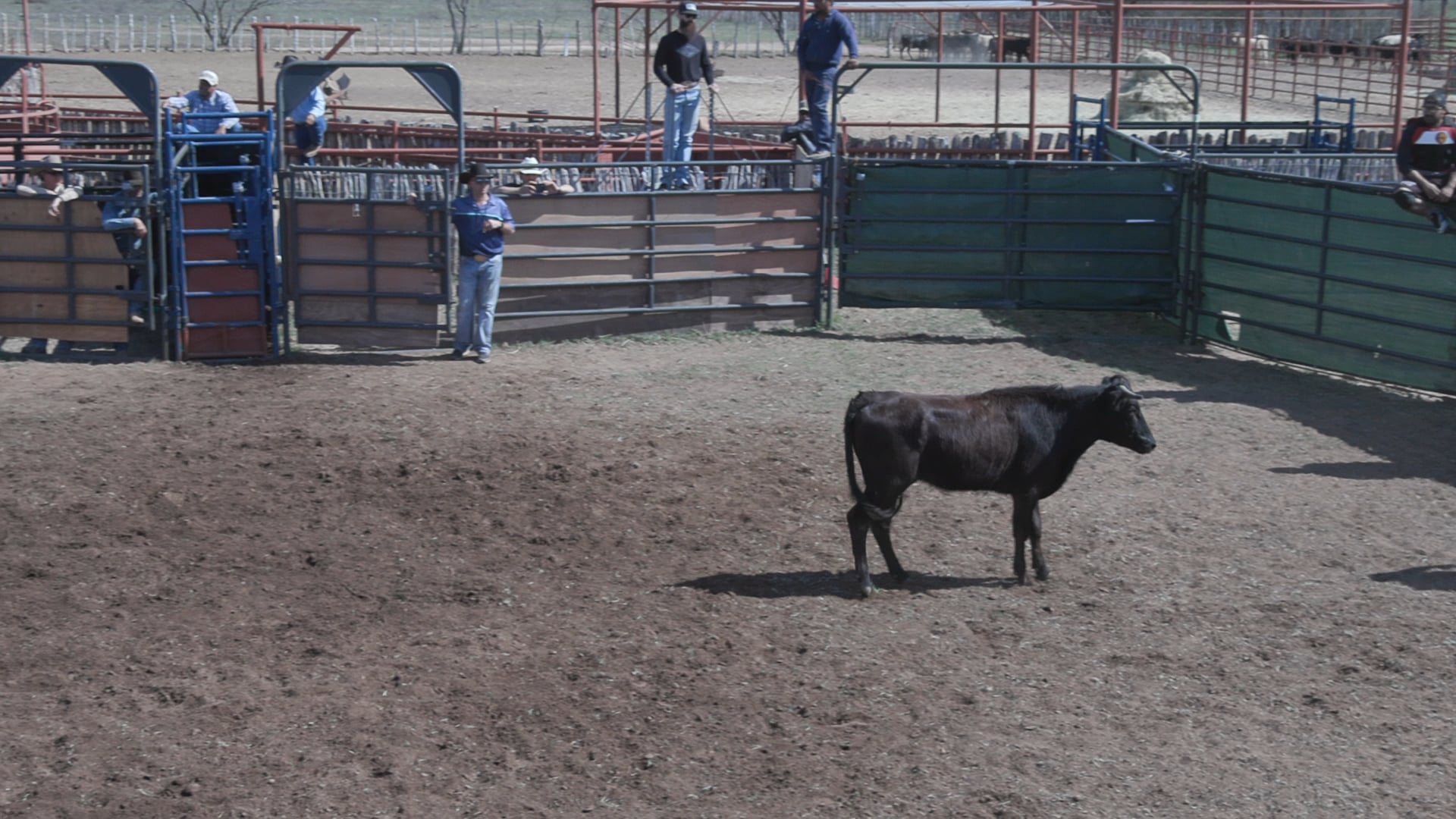 Uvalde D Camp Day 2 2020