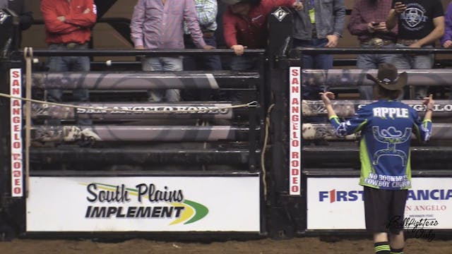 Schell Apple - 2017 BFO San Angelo