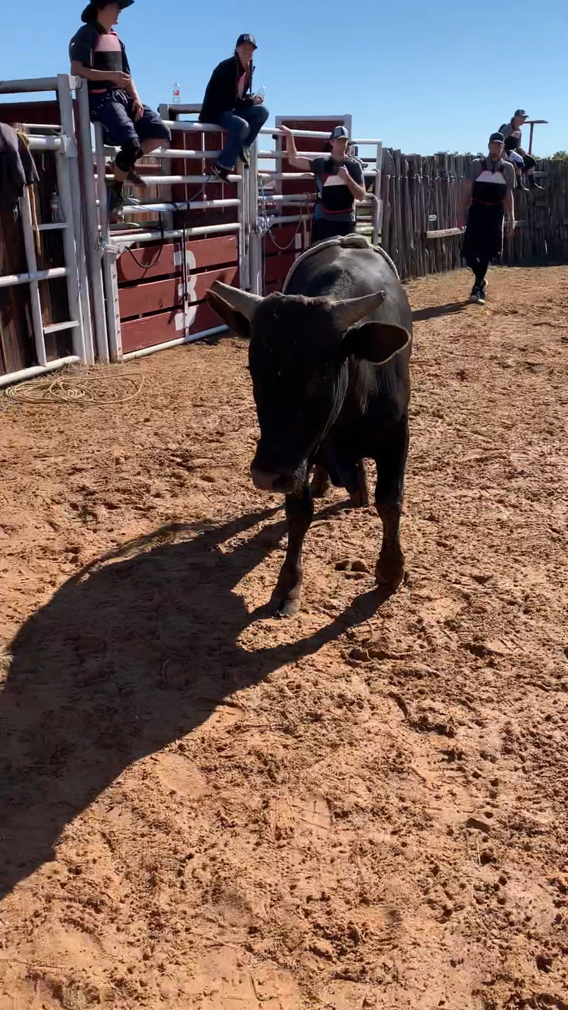 Decatur D-Camp Day 3