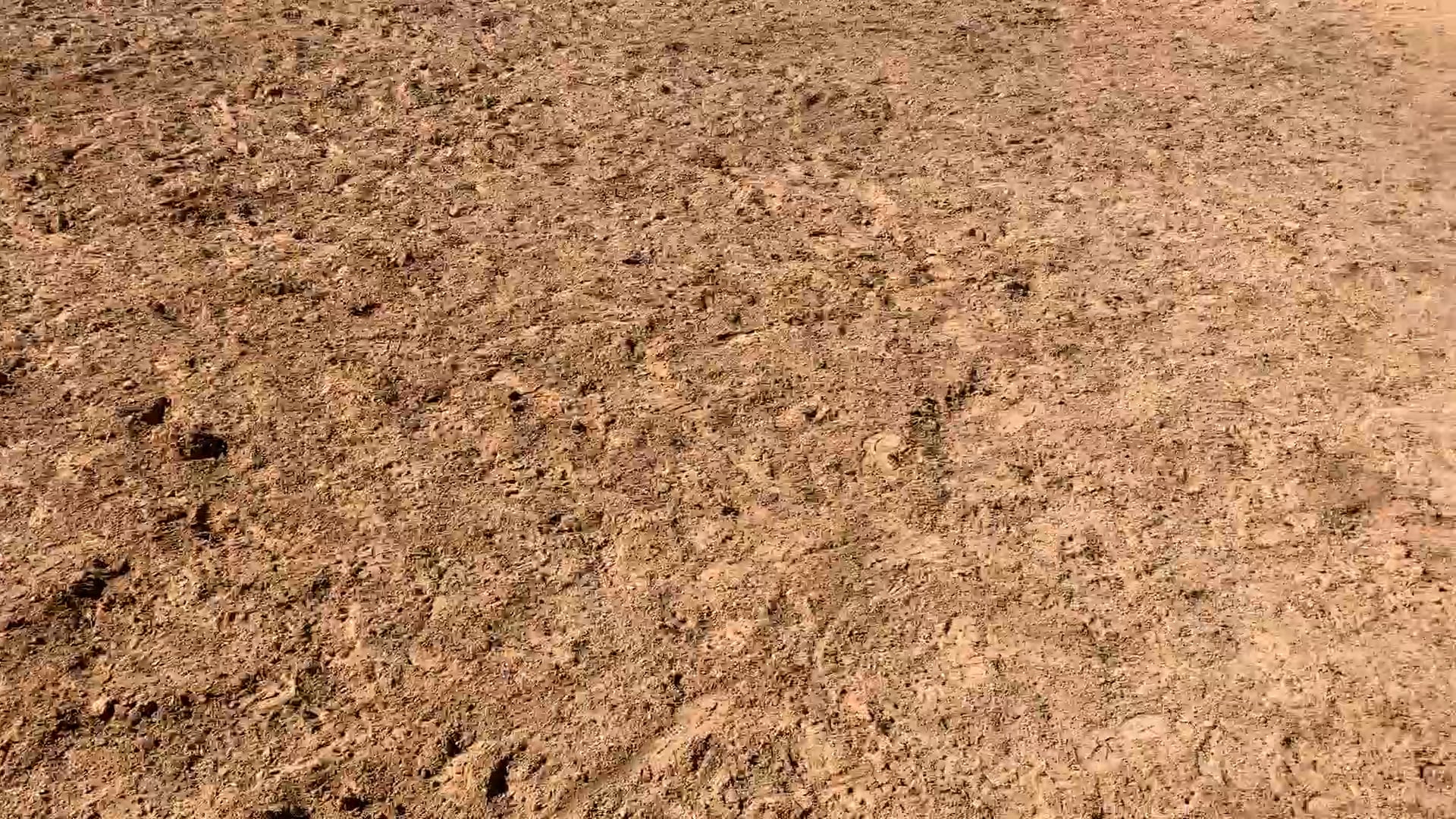 Decatur D-Camp Day 2