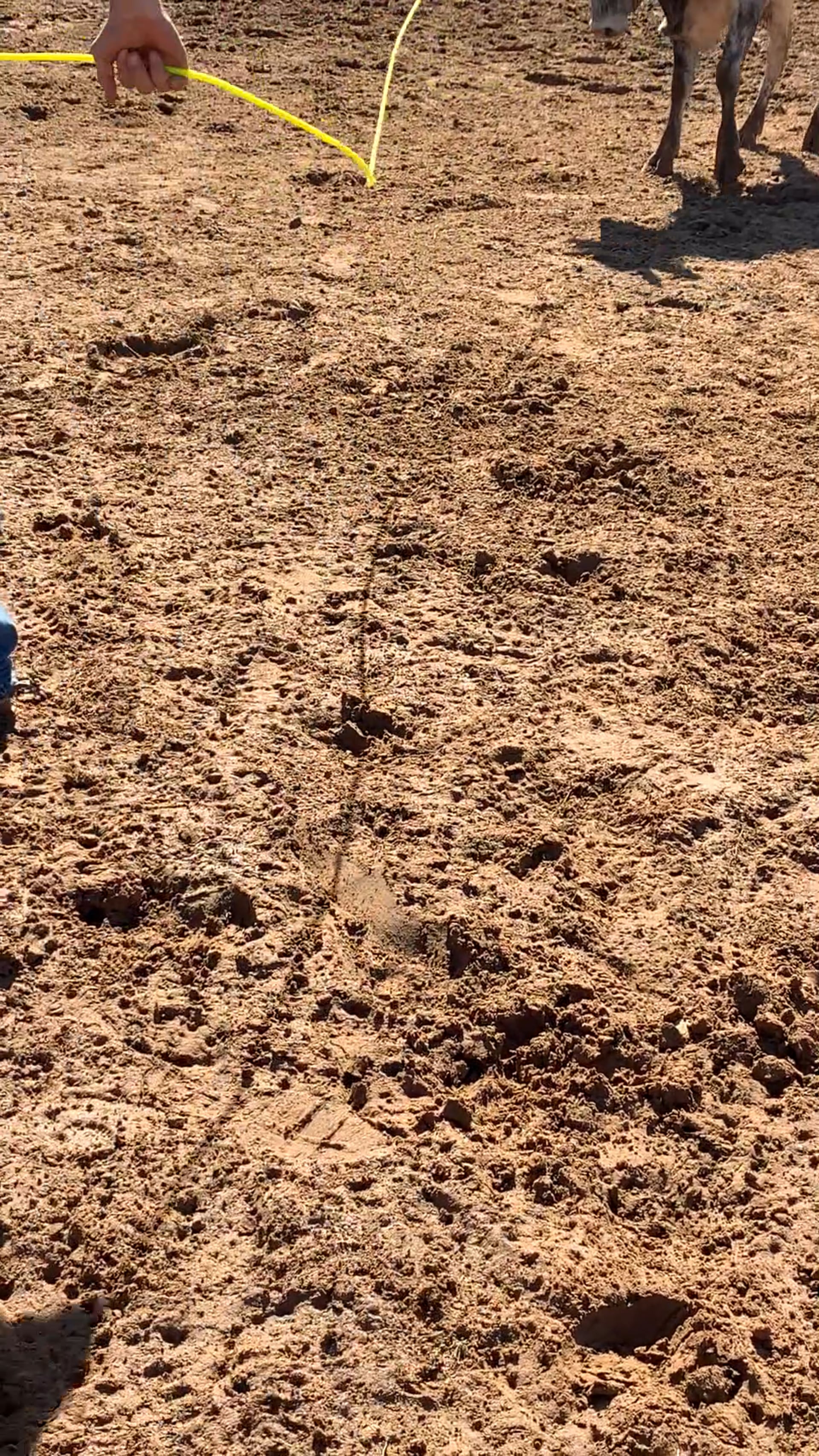 Decatur D-Camp Day 3