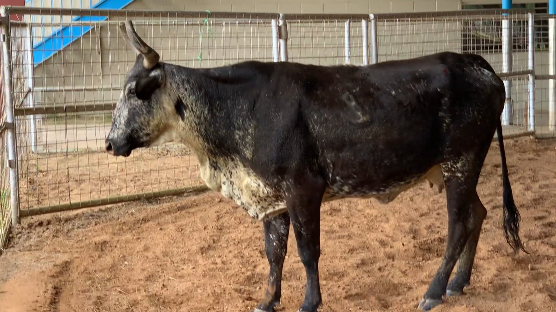 New Caney Tx D Camp 2019 - IMG_0303