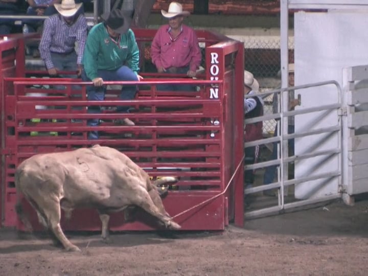 2017 BFO Lewiston Round up Saturday