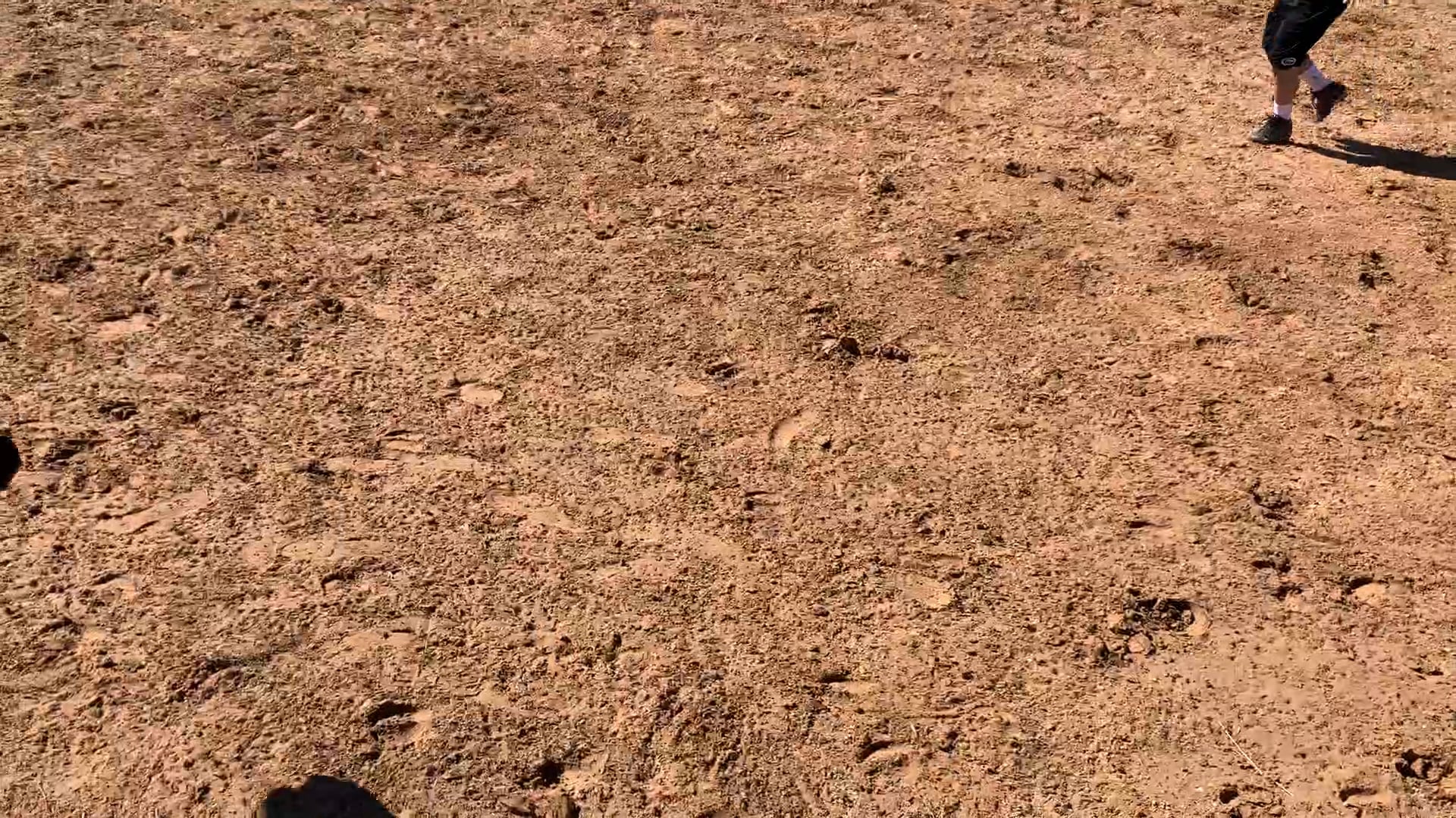 Decatur D-Camp Day 1