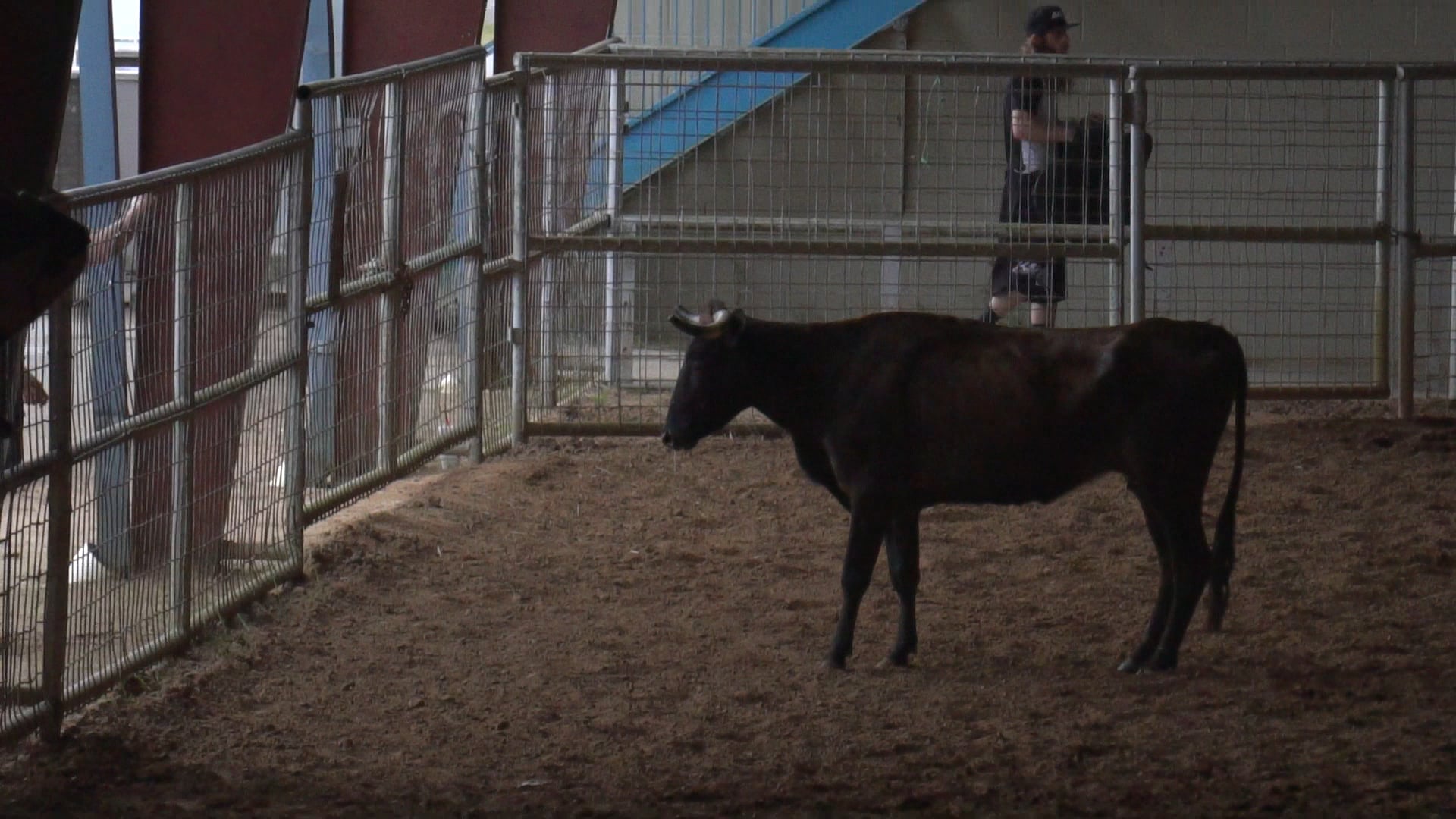 New Caney Tx D Camp 2019 - C0033