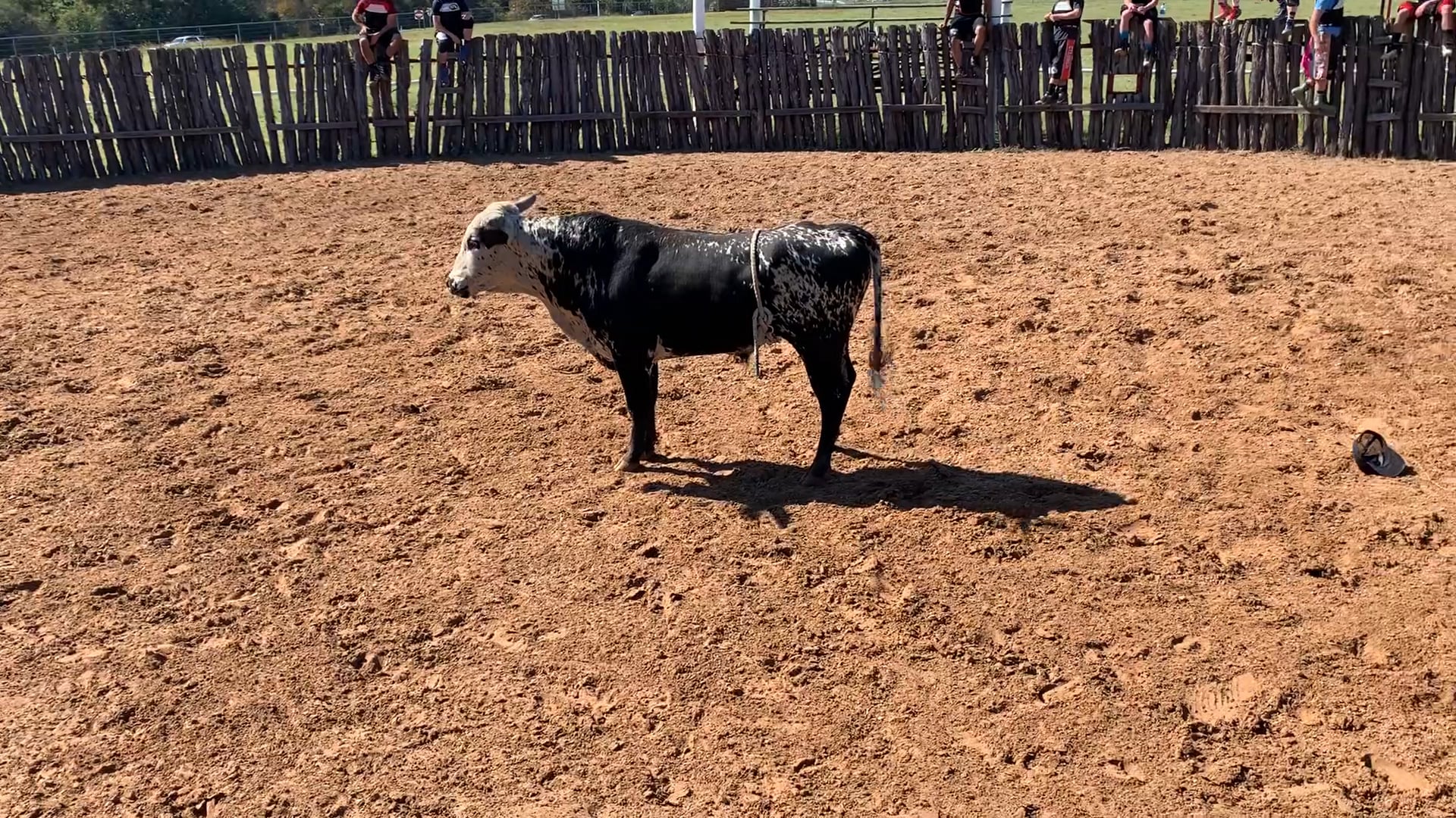 Decatur D-Camp Day 1