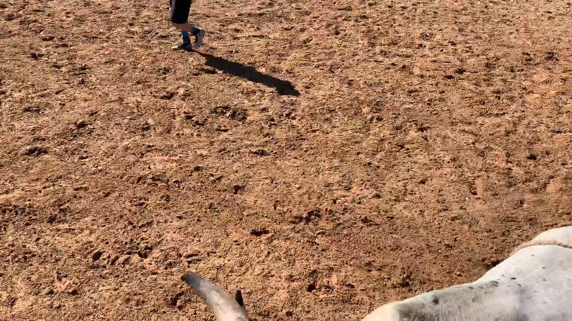 Decatur D-Camp Day 1