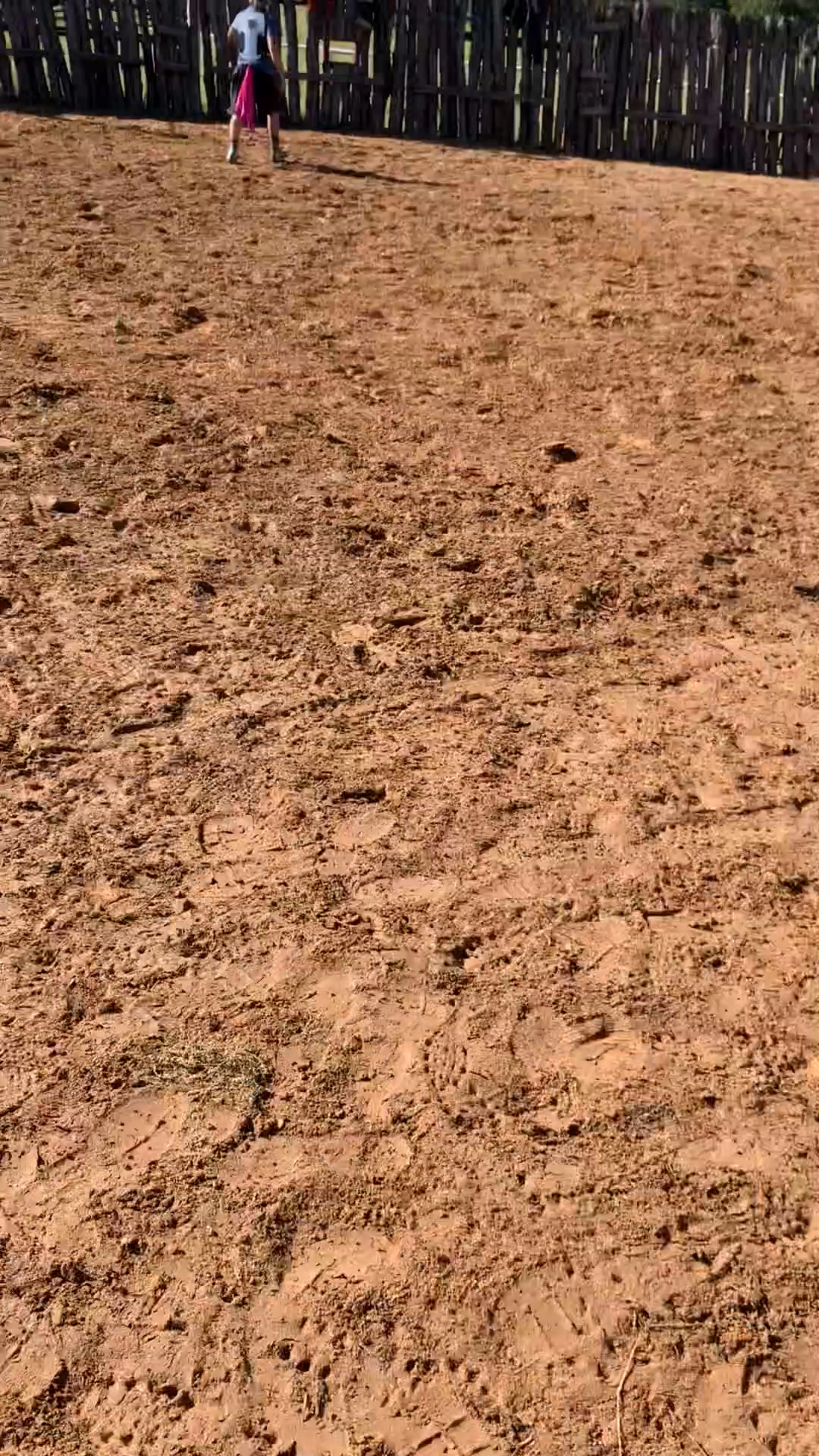 Decatur D-Camp Day 3