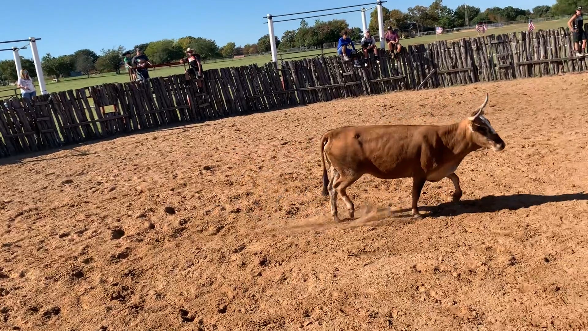 Decatur D-Camp Day 2