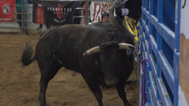 2019 Rodeo Scottsdale - Kris Furr SR ...