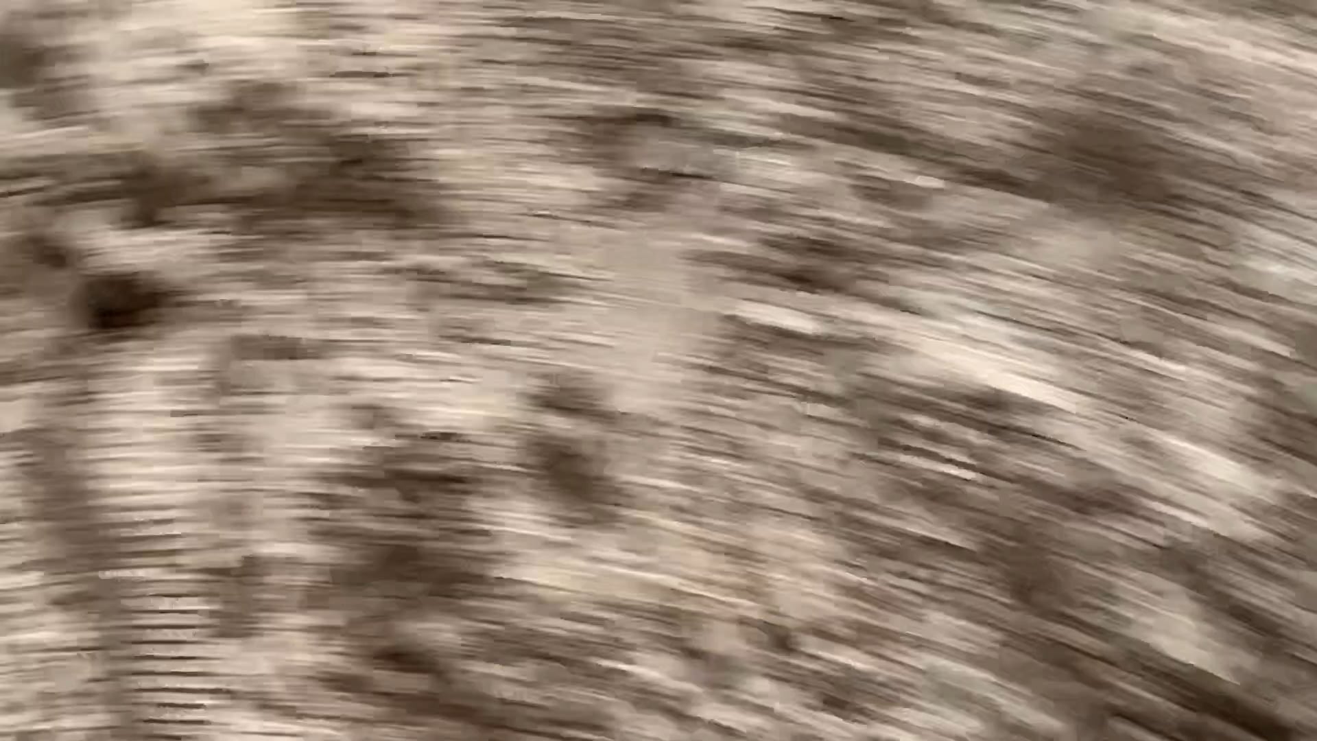 New Caney Tx D Camp 2019 - IMG_0309