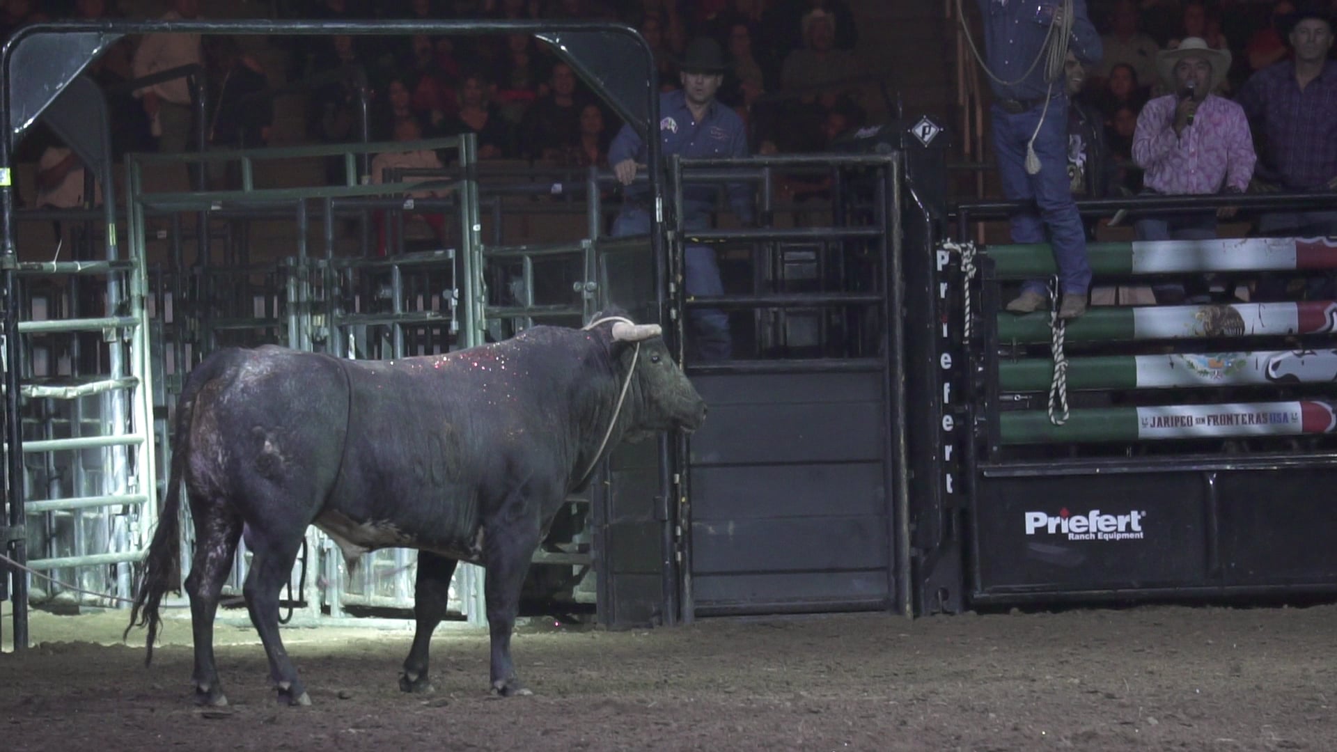 San Jose 2019 - Andres Gonzalez