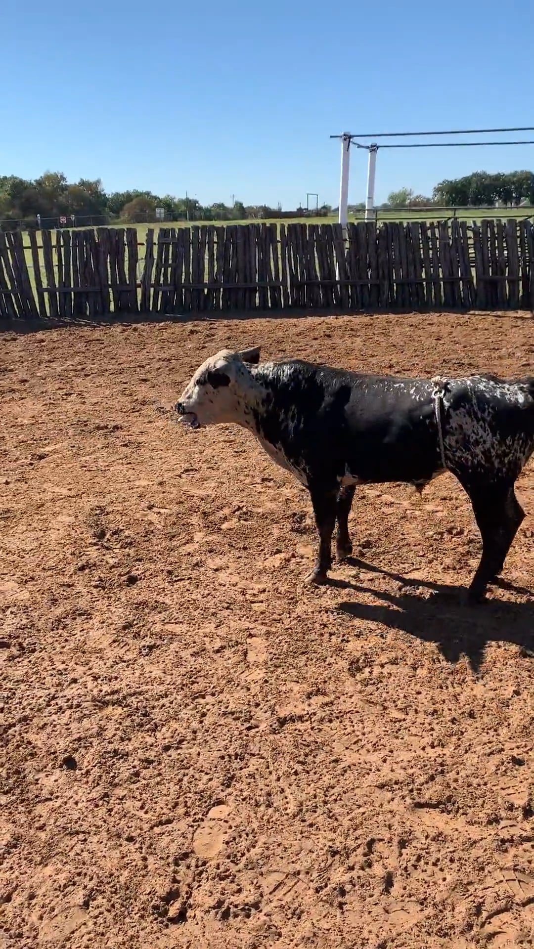 Decatur D-Camp Day 3