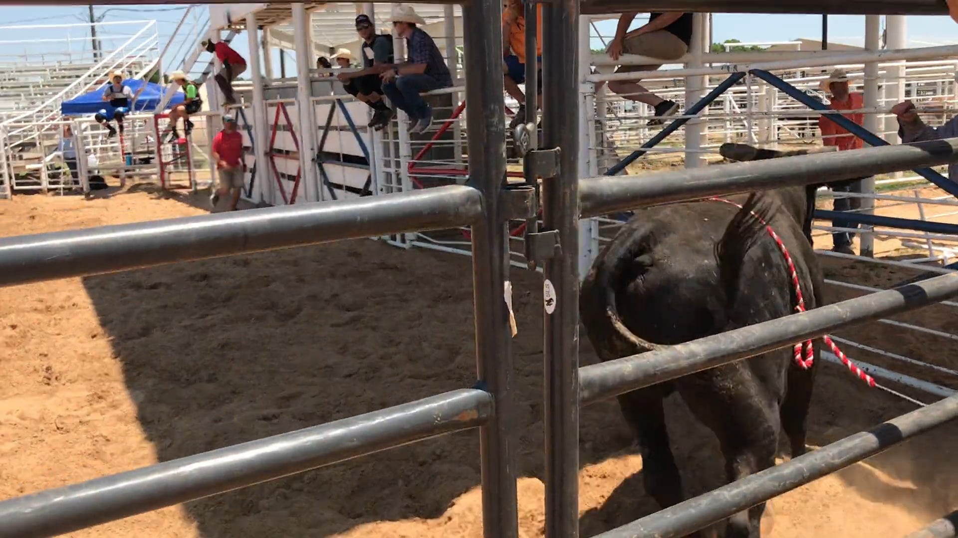 Super Camp 2018 - Day 4