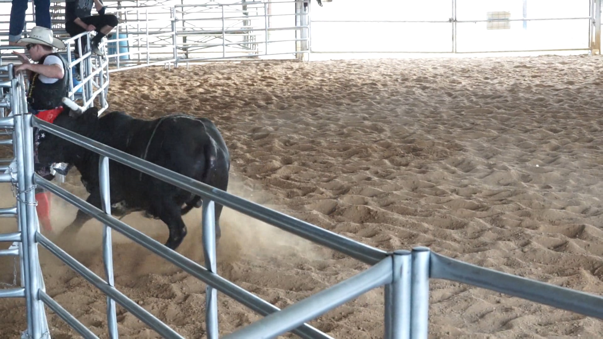 BULL 1