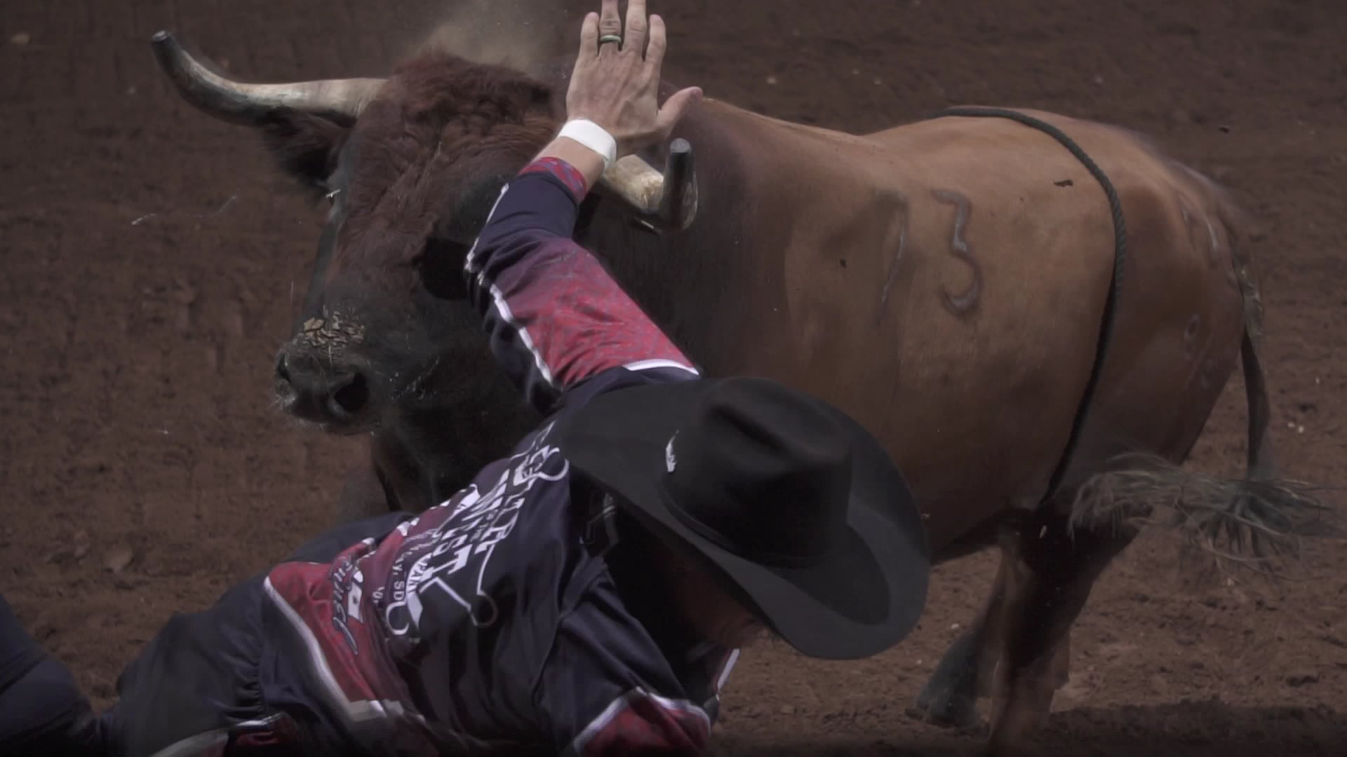 One HOT Bullfight 2019 - Dayton Spiel (LR) ALT.