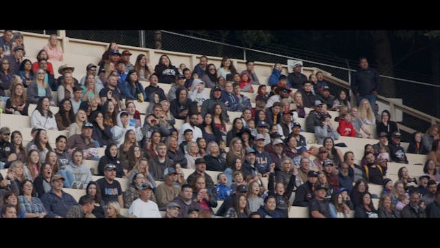 BFO ALL ACCESS - FORTUNA