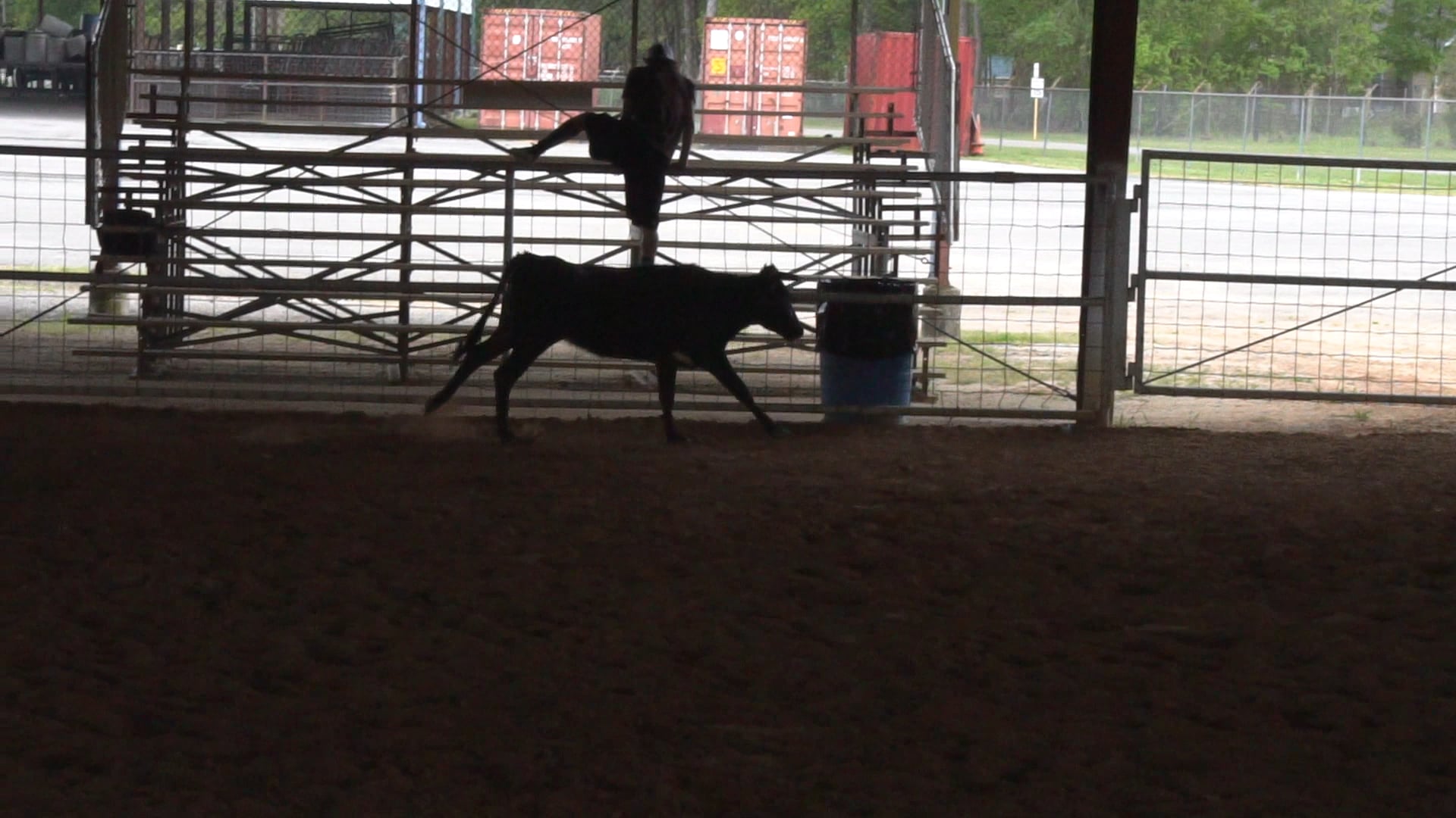 New Caney Tx D Camp 2019 - C0056