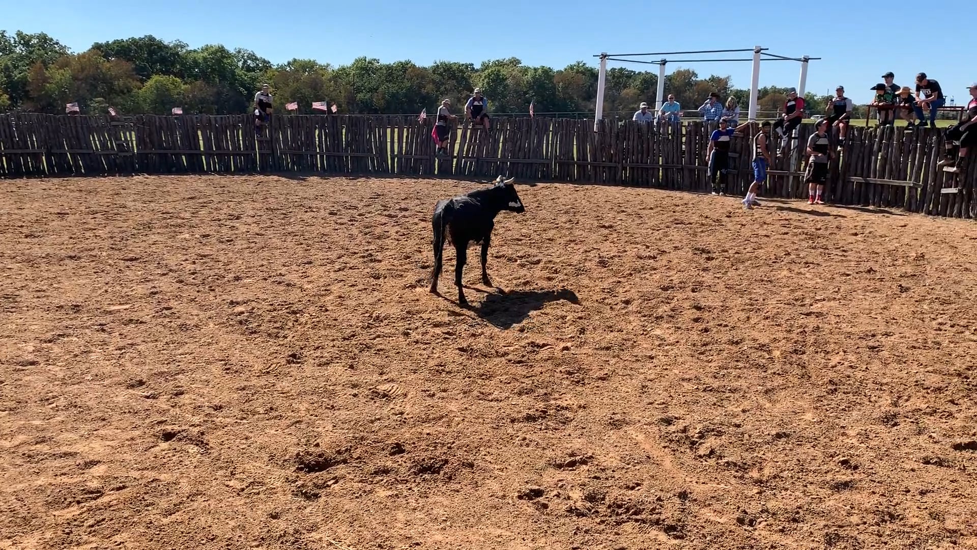 Decatur D-Camp Day 2