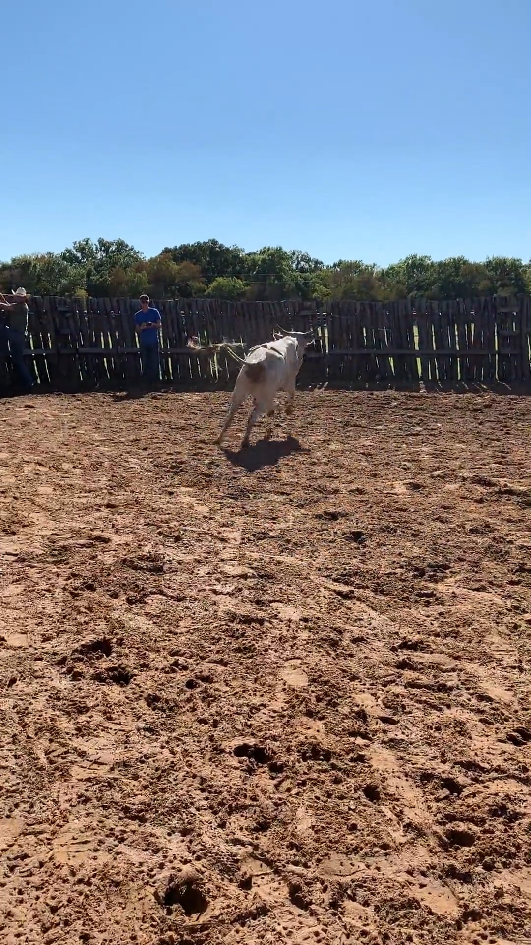 Decatur D-Camp Day 2