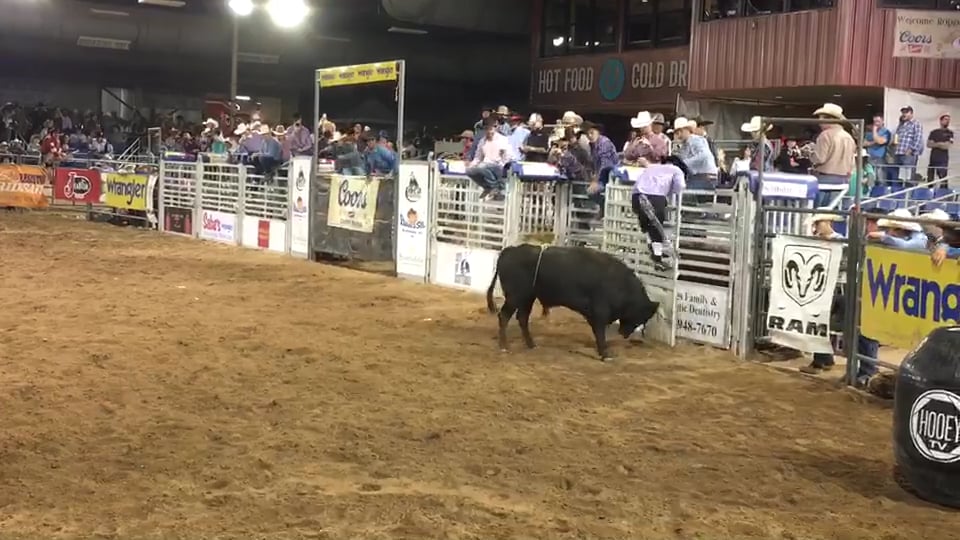 2018 BFO Scottsdale - Kris Furr