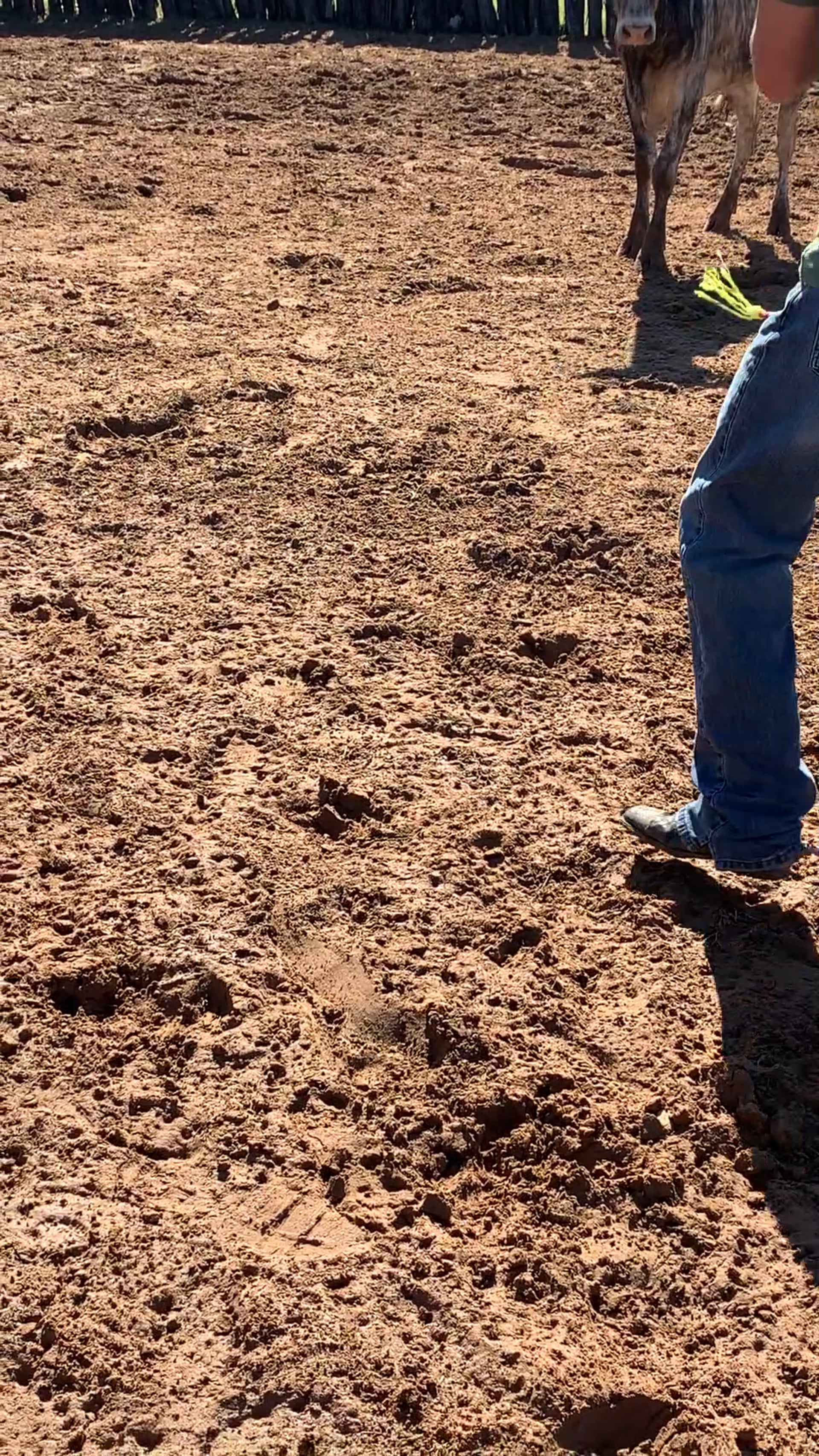 Decatur D-Camp Day 3