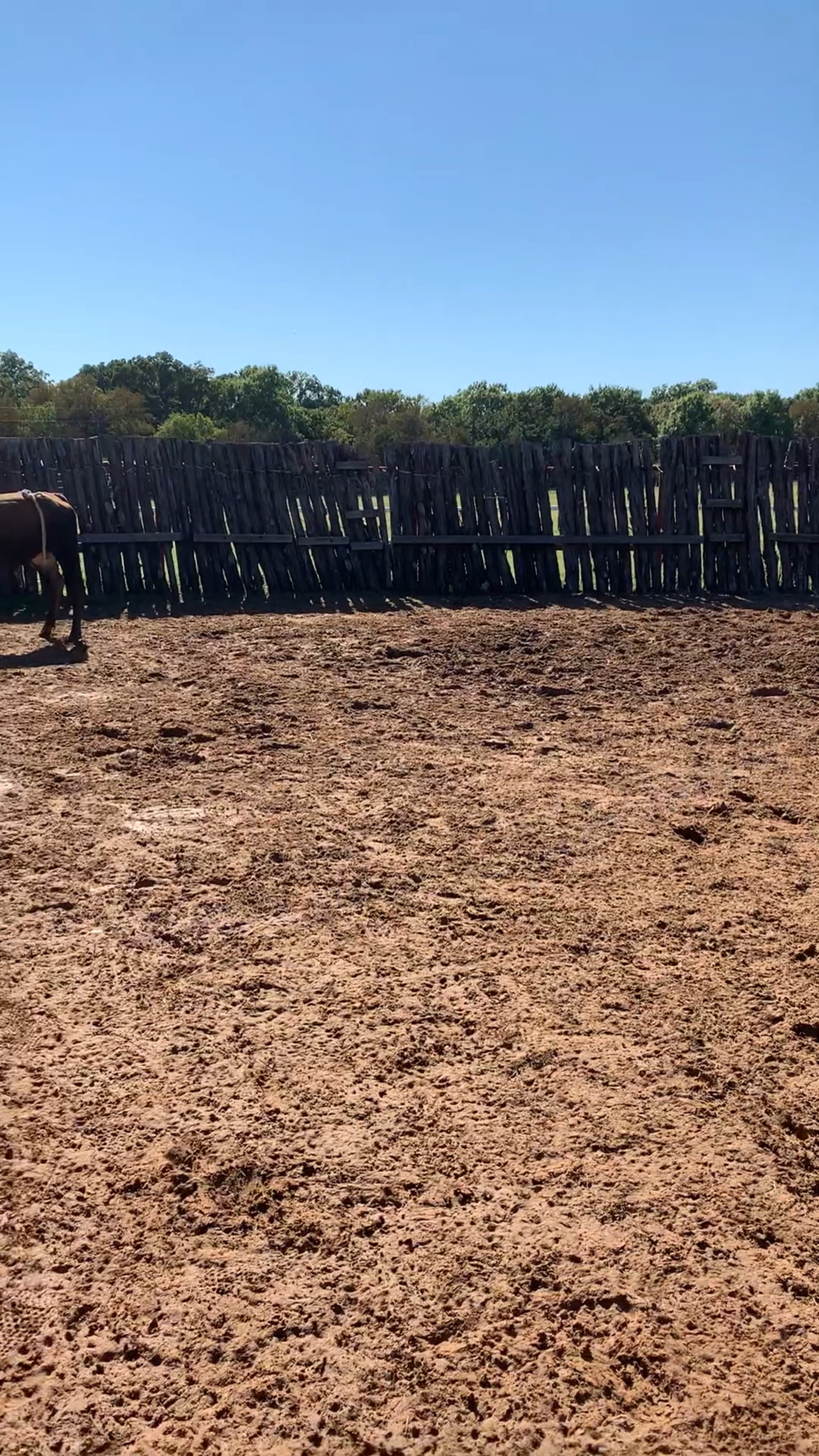 Decatur D-Camp Day 3