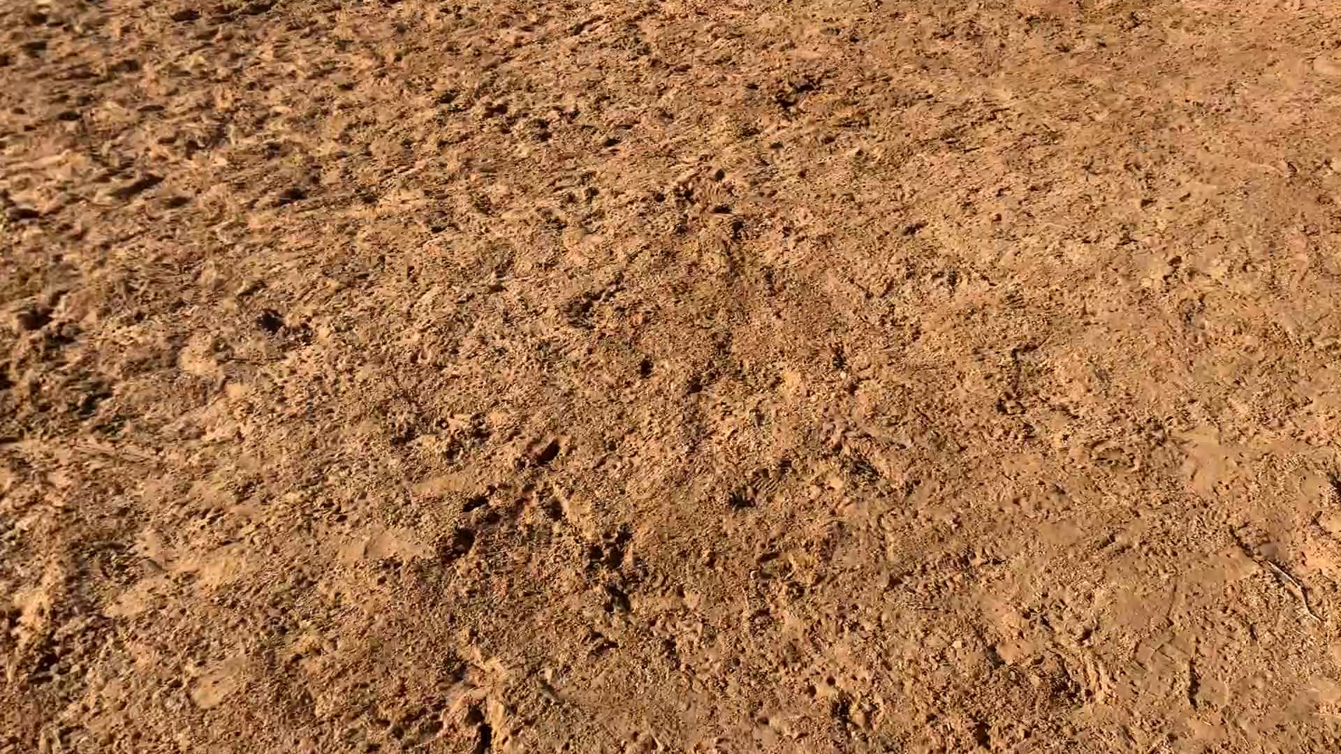 Decatur D-Camp Day 1