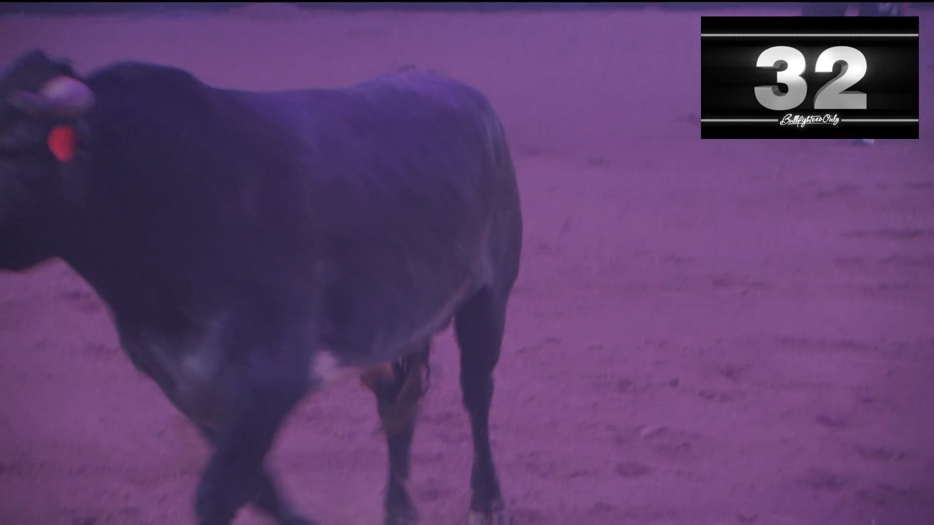 Round 1 - 2016 BFO Vegas Championship RD