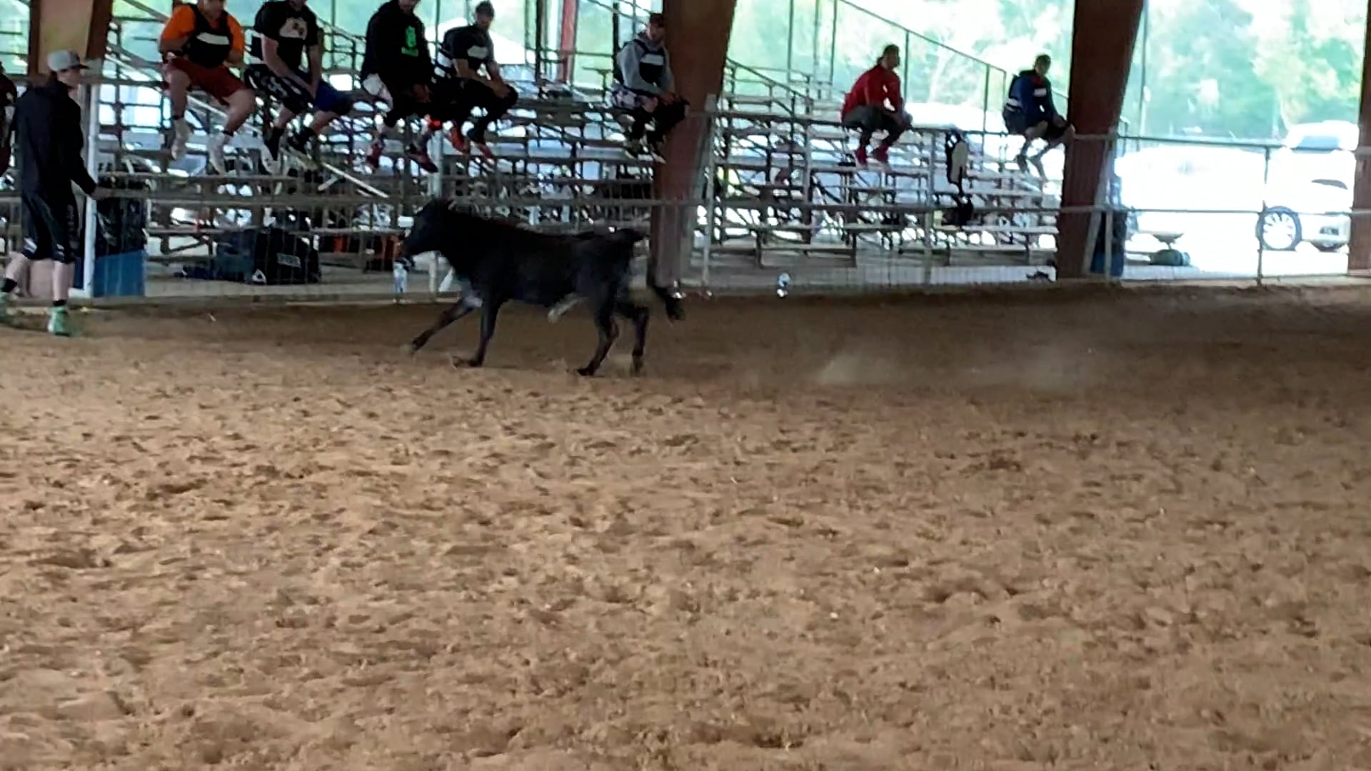 New Caney Tx D Camp 2019 - IMG_0371