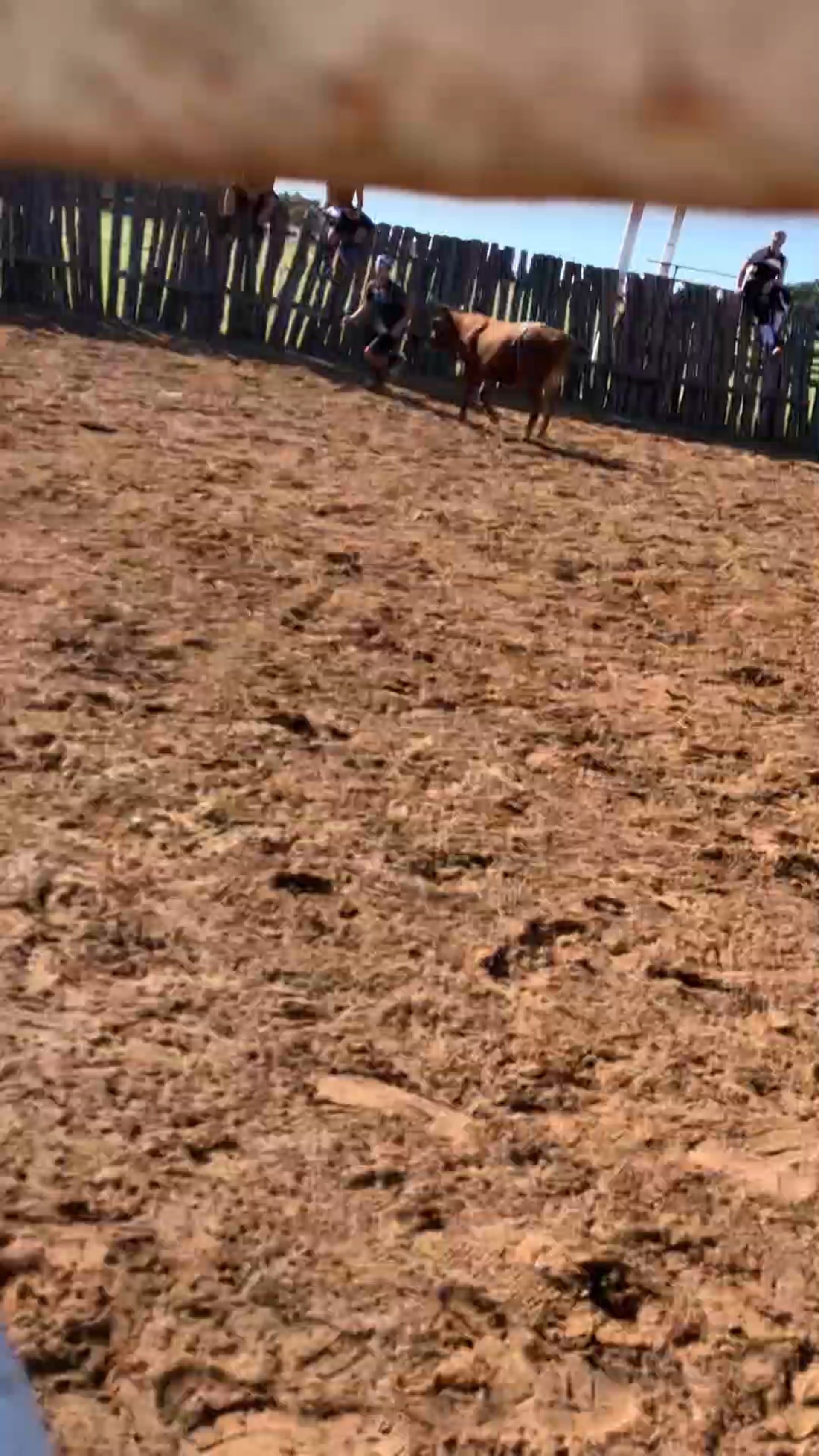 Decatur D-Camp Day 2